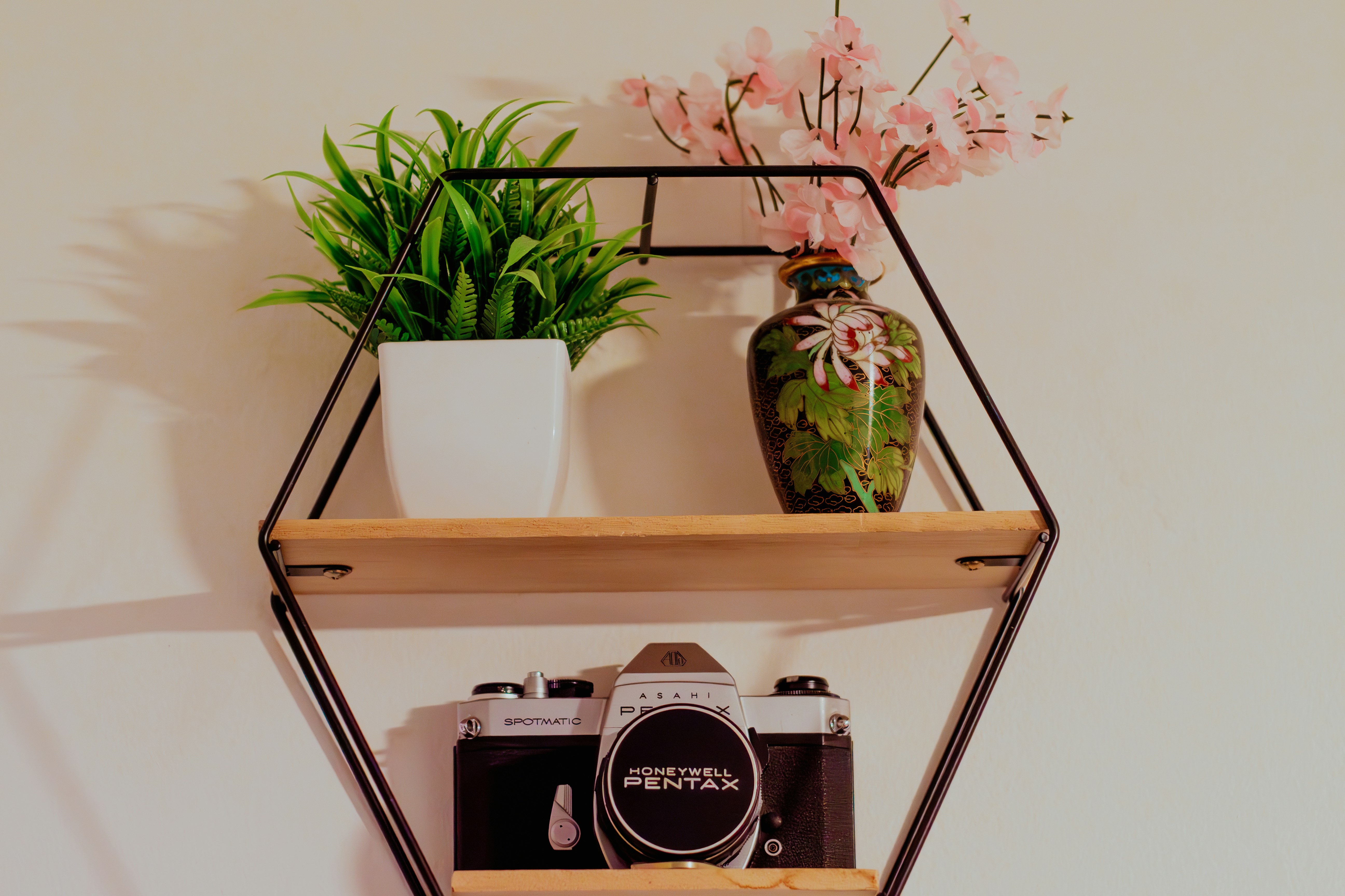 A shelf displaying plants, vase, and camera.