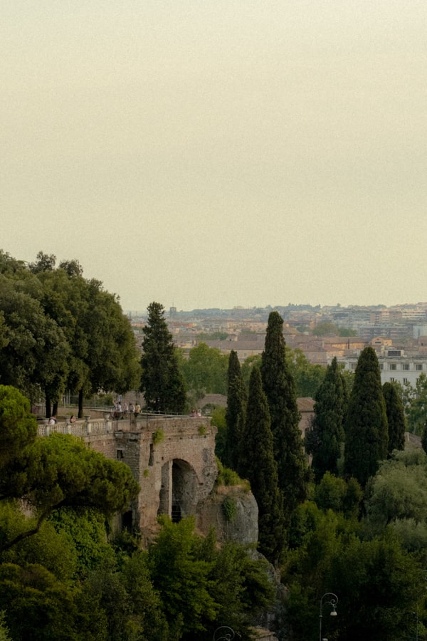 Le Jardin de Russie ao entardecer