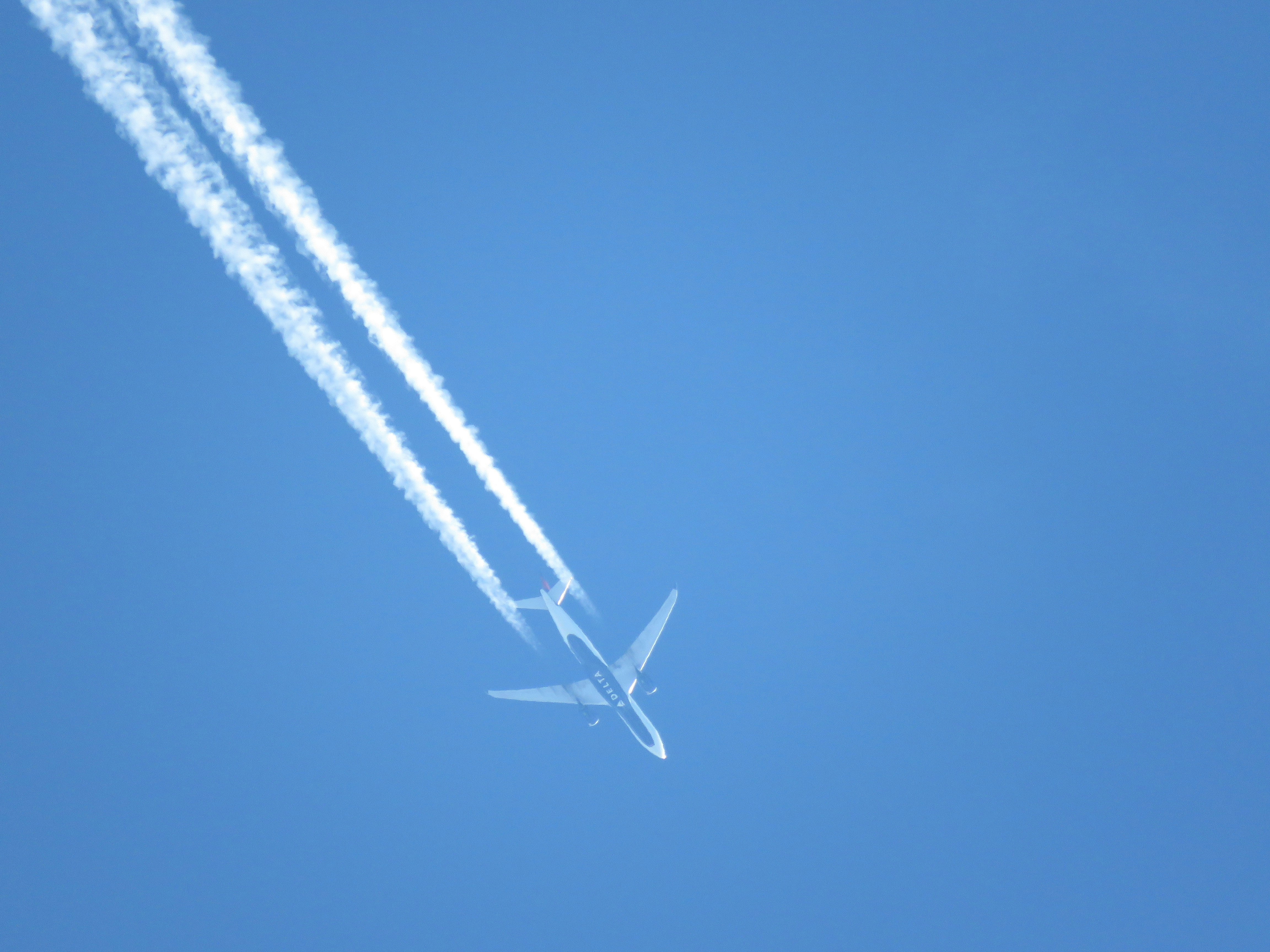 Photo by thebirdnerd