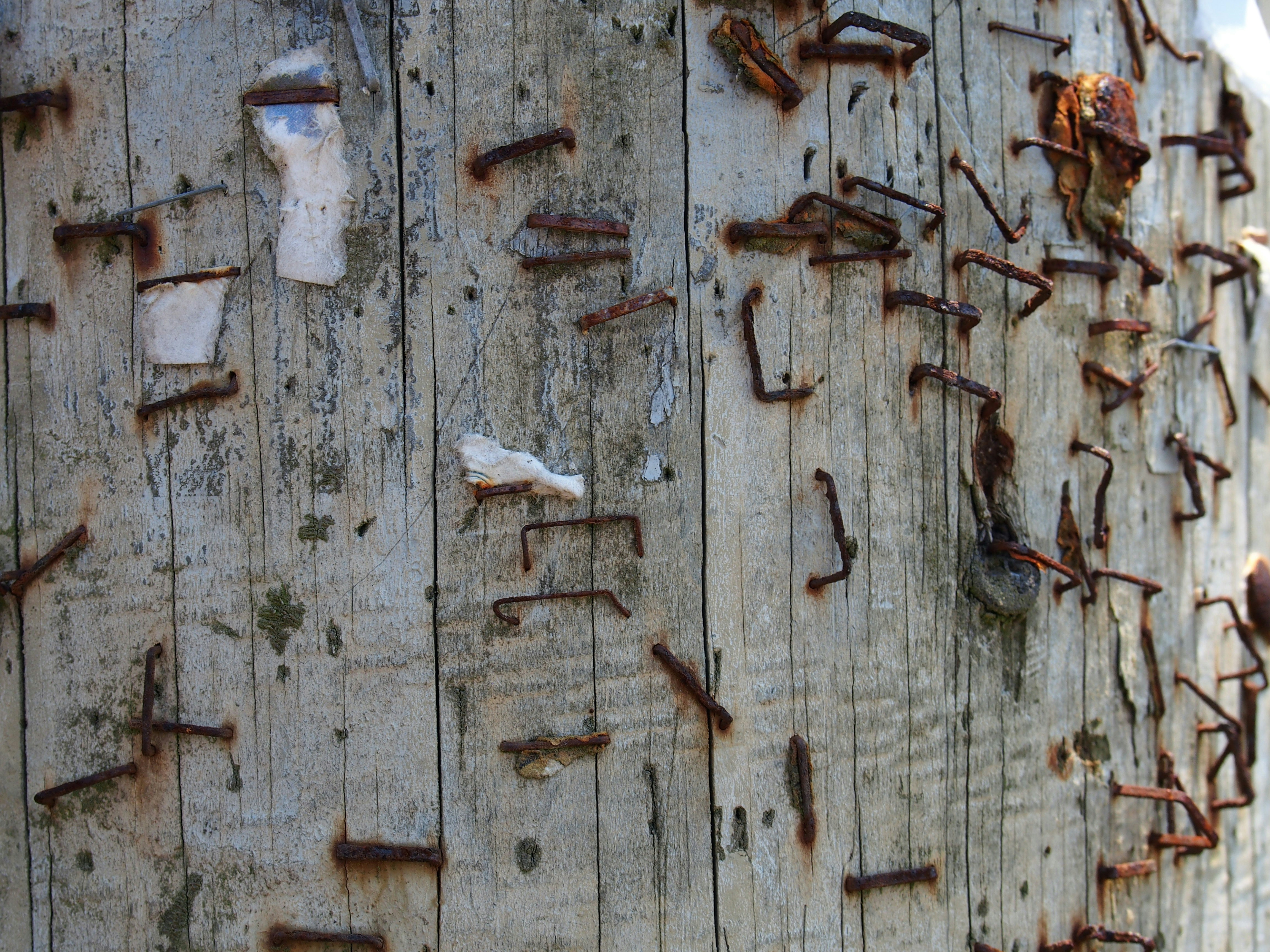 Photo by john_cardamone