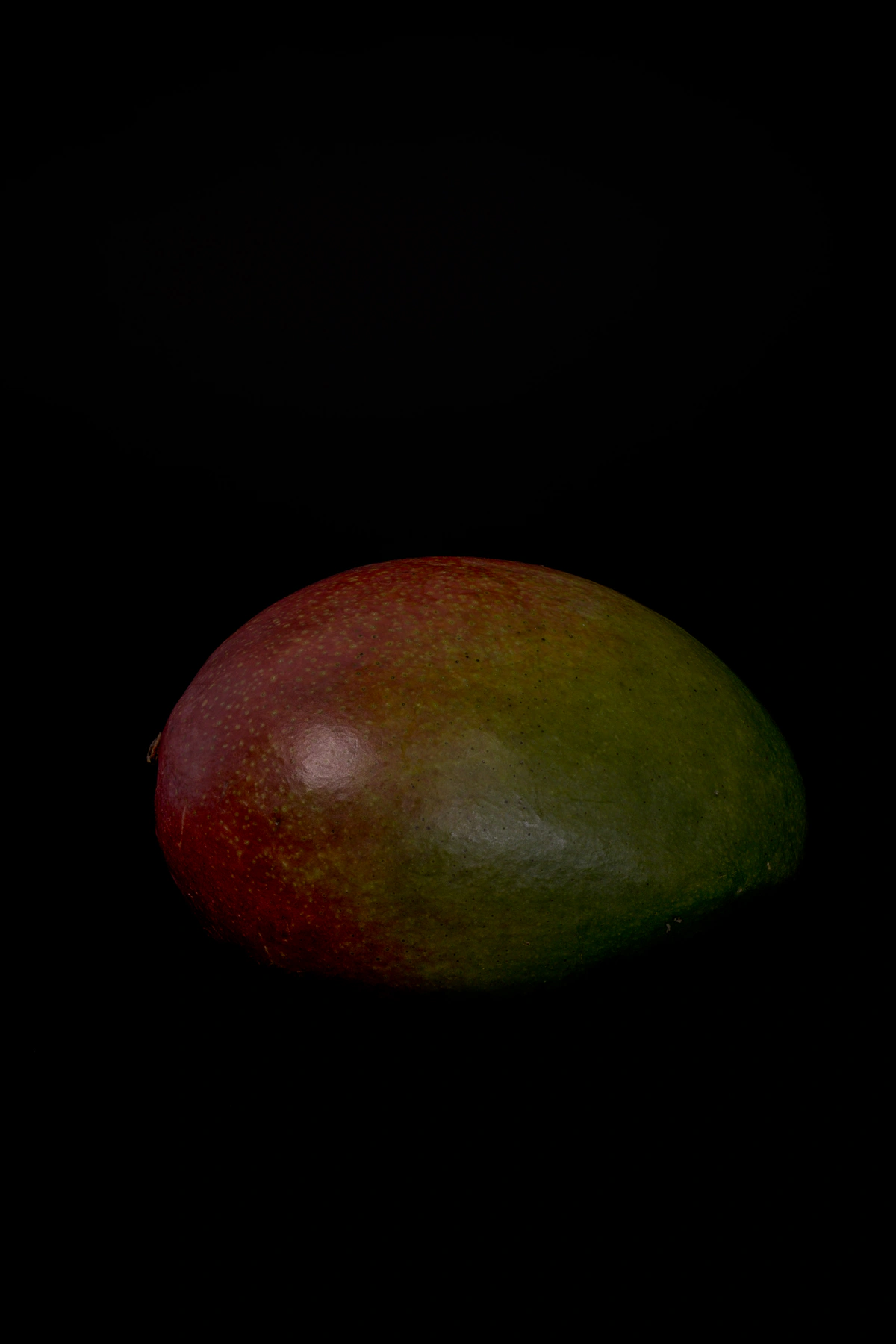 Mango Passion