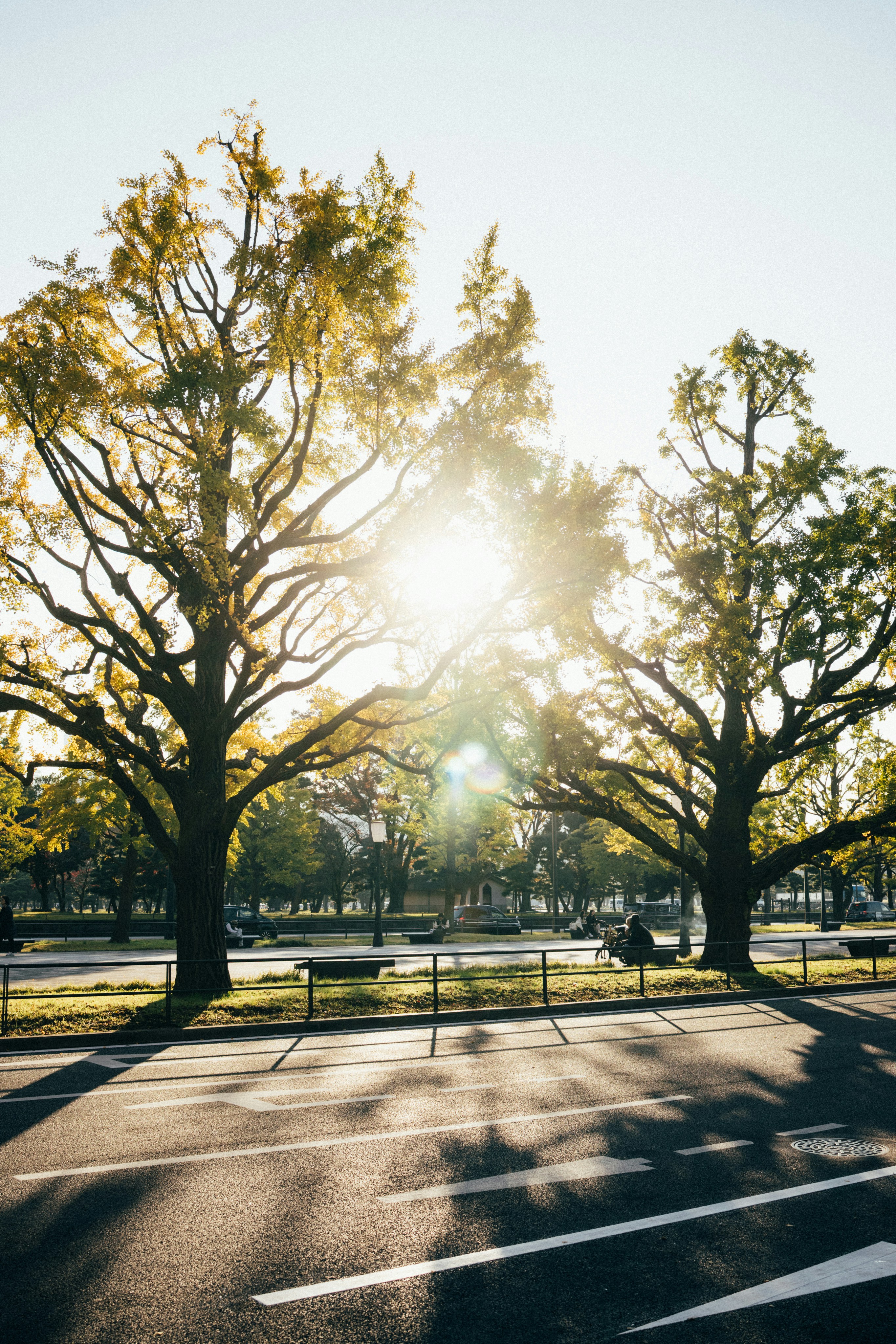 Photo by tsuyoshikozu