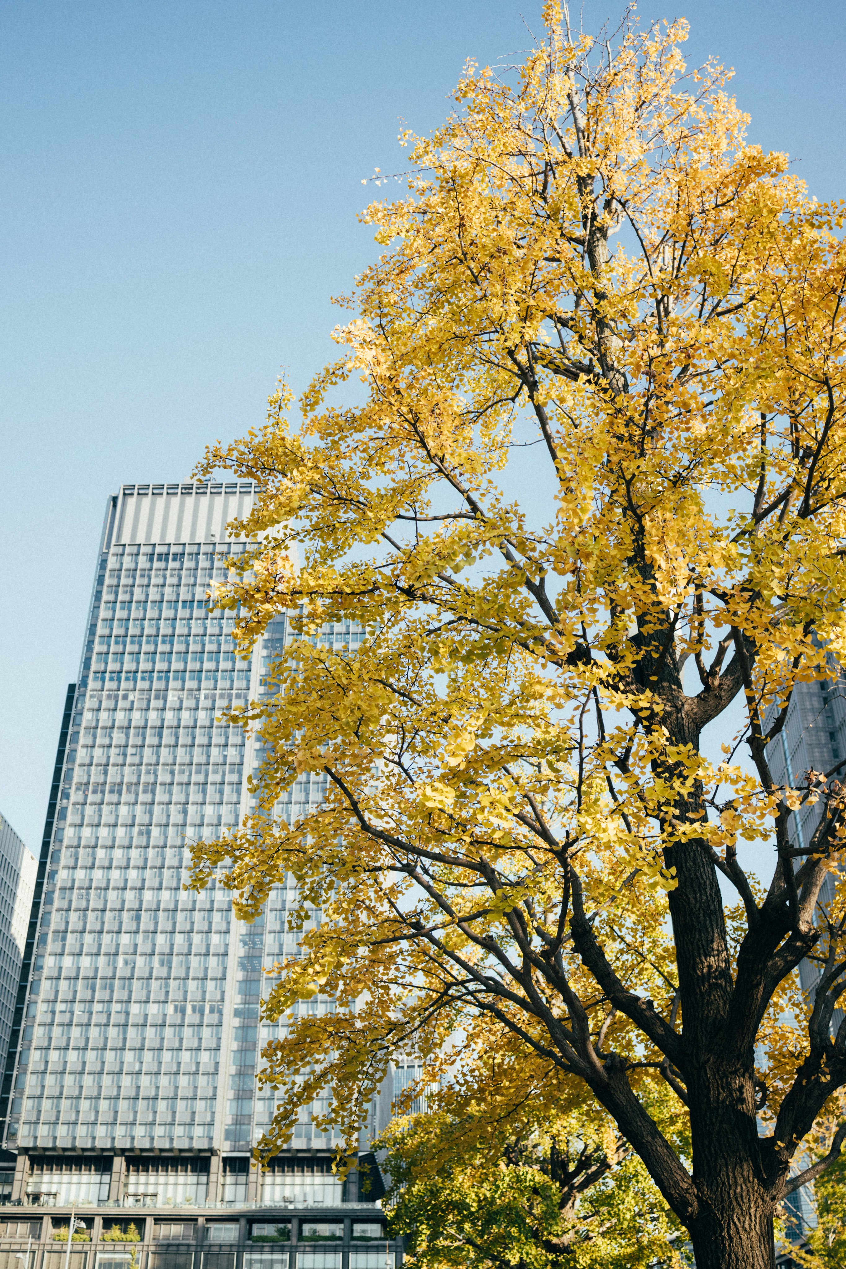 Photo by tsuyoshikozu