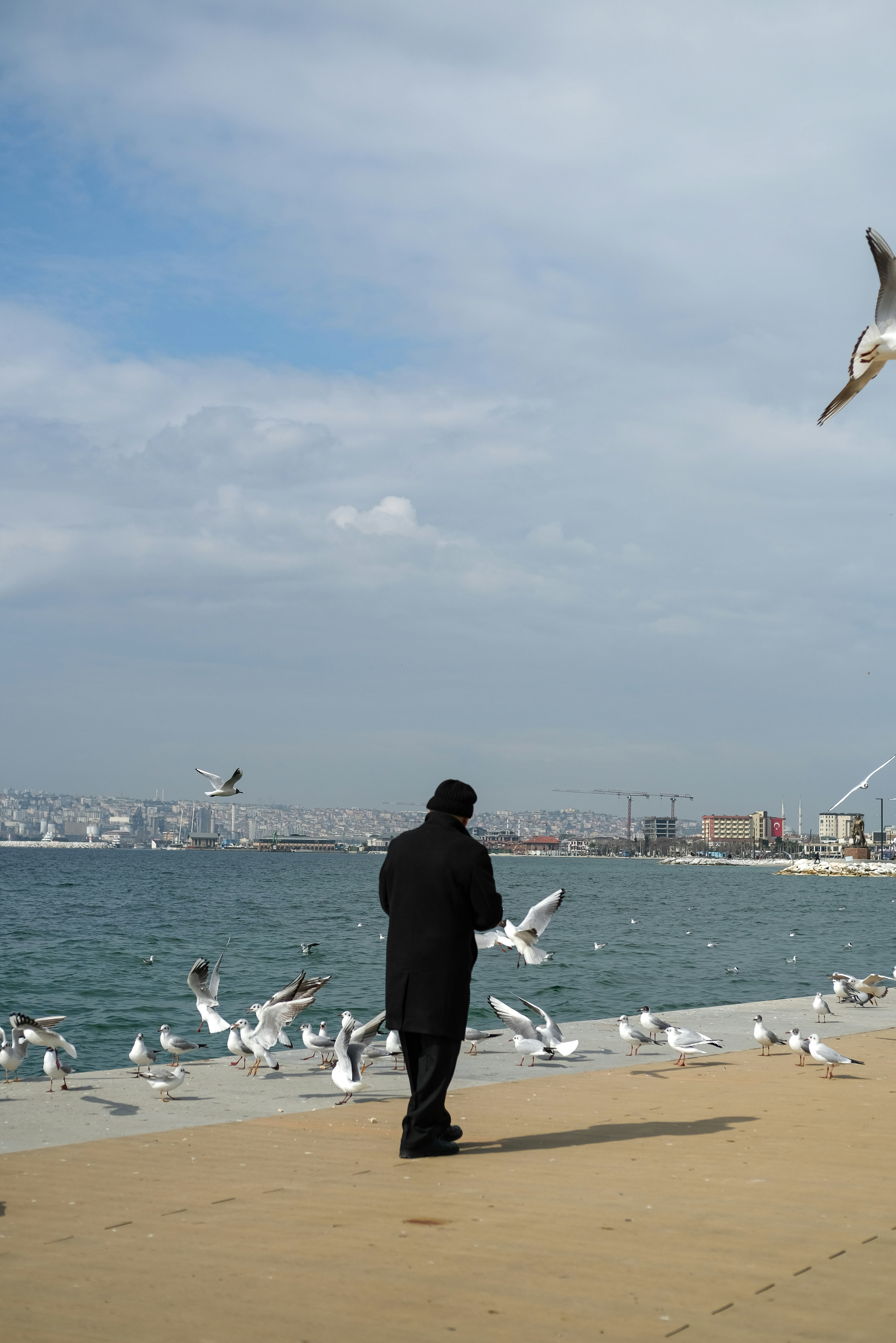 Photo by esraafsar