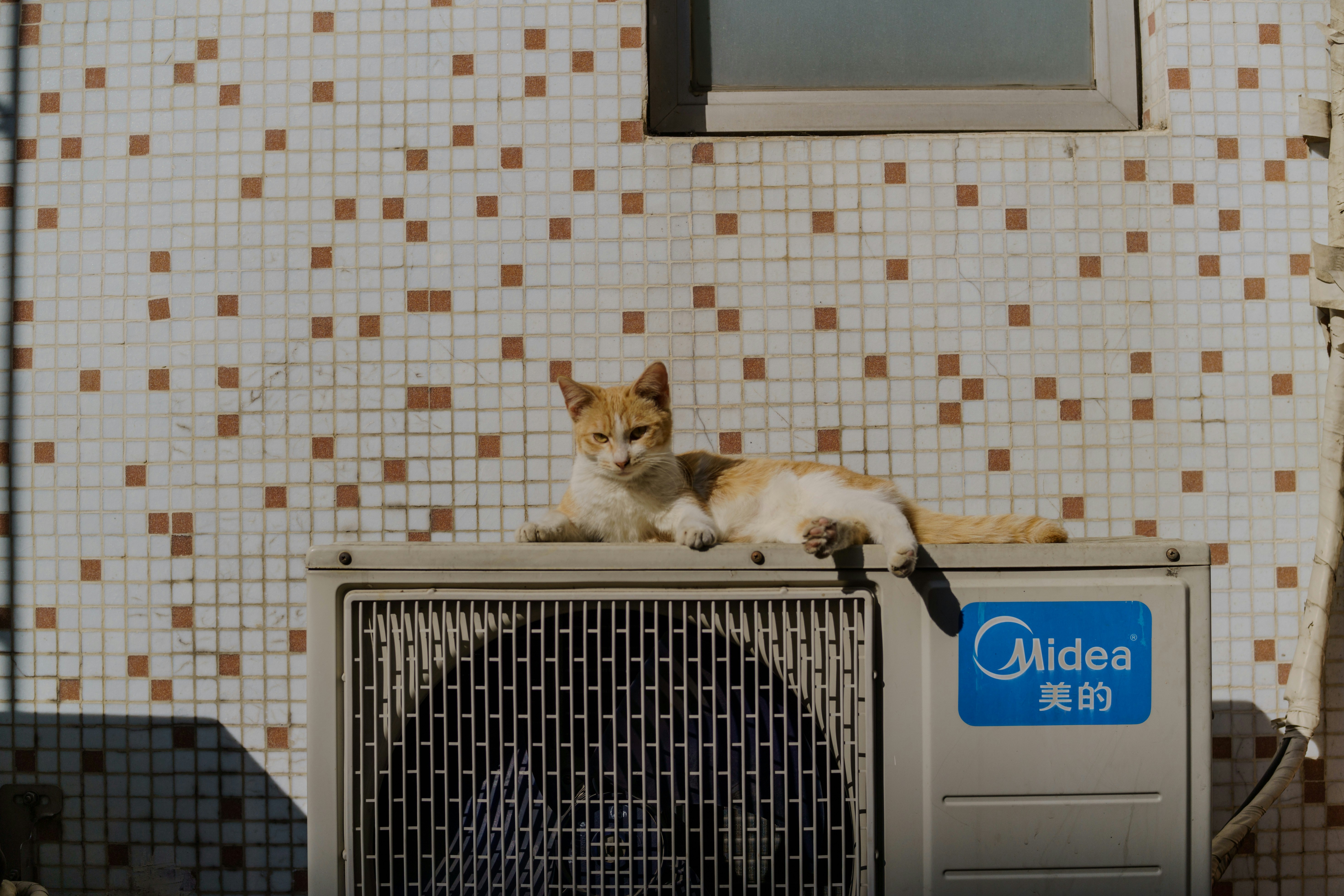 A cat lounges on top of an air conditioner.
