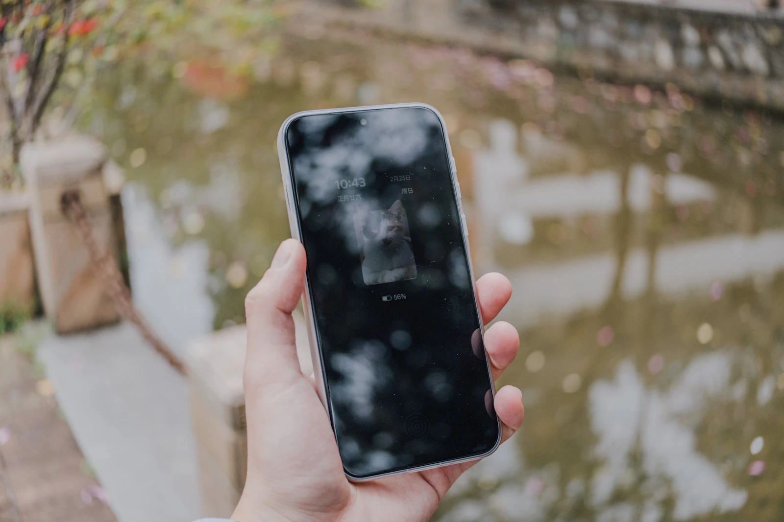 A hand holding a smartphone with light reflecting off the screen