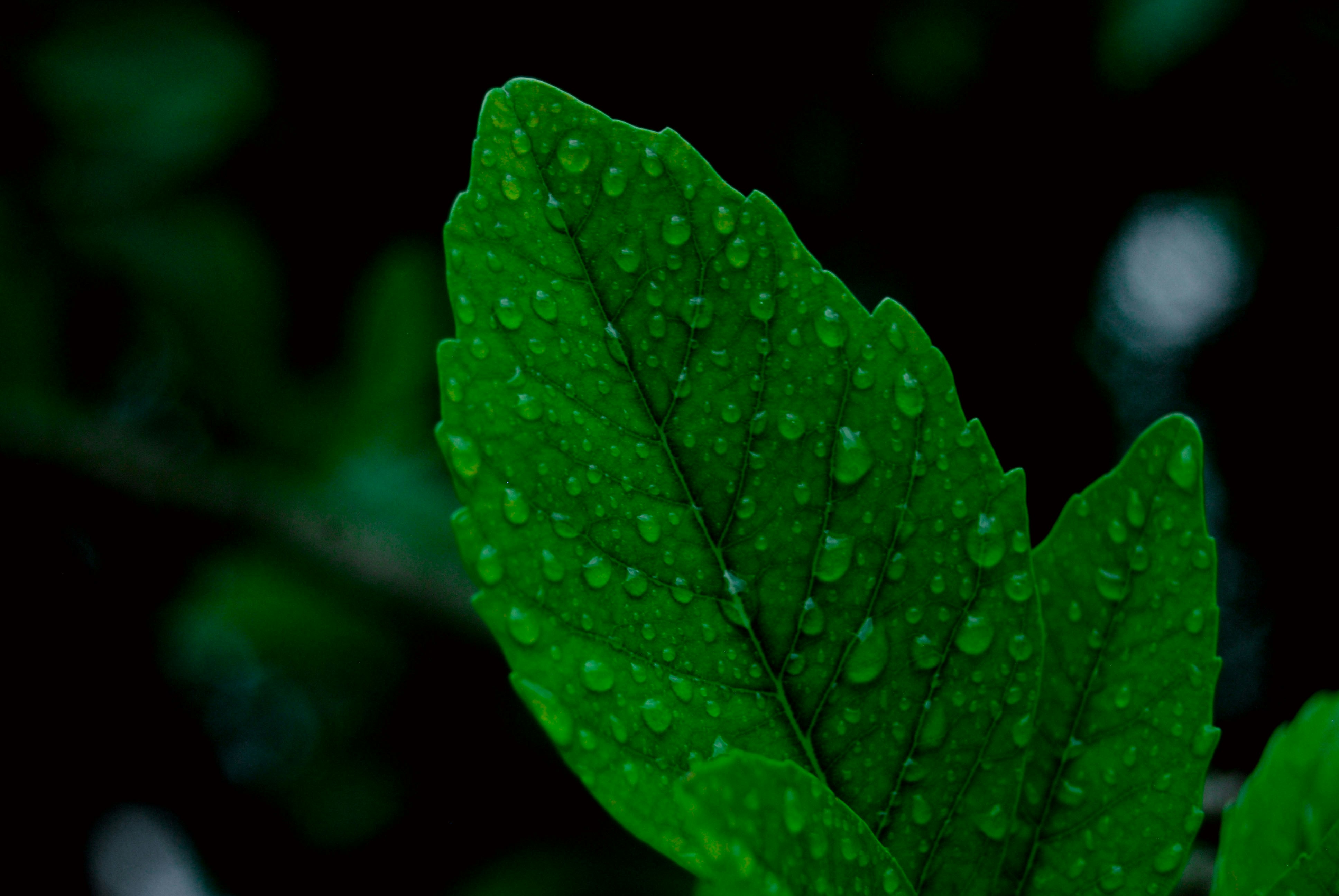 Photo by imrphotographyco