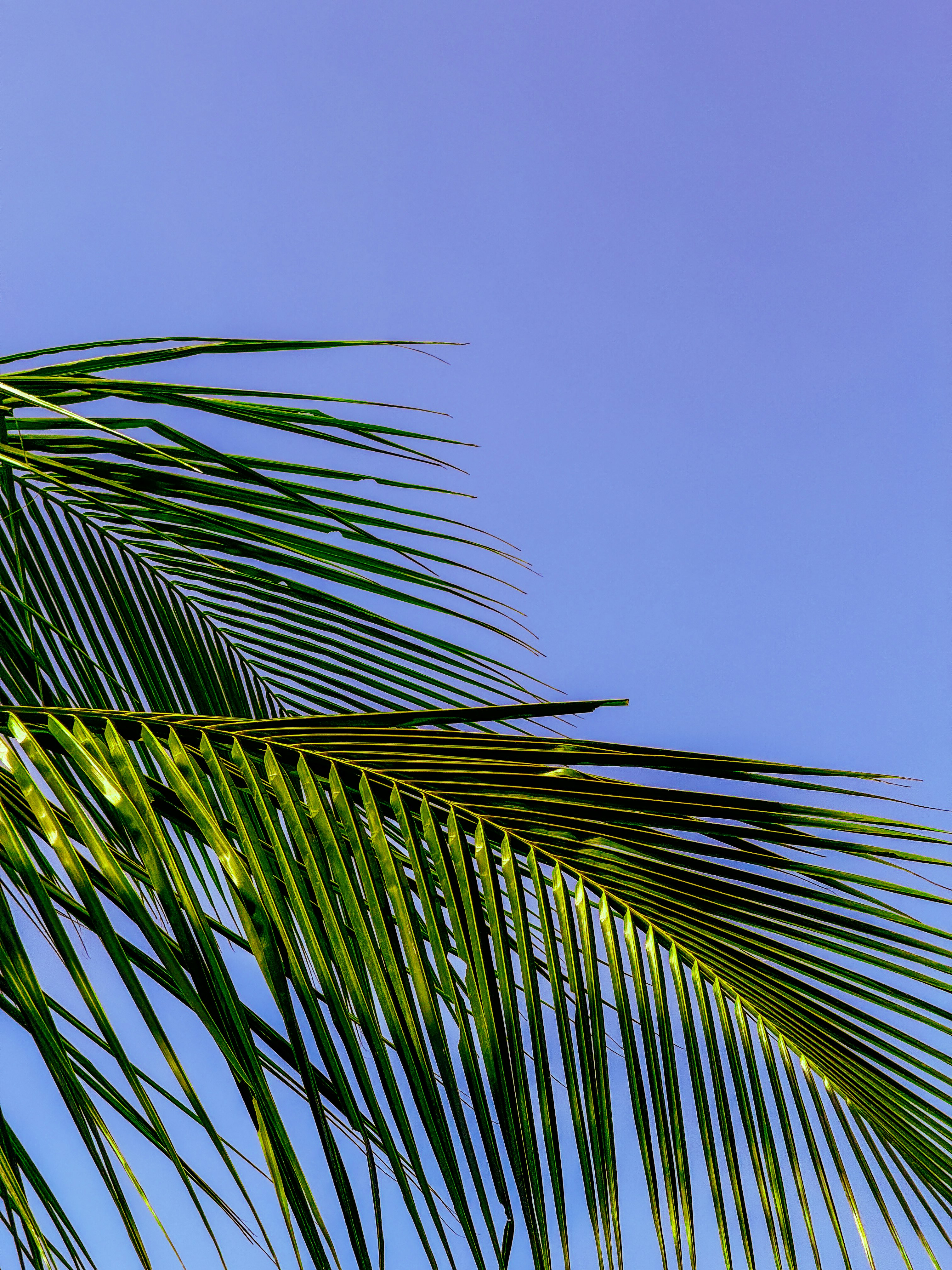 Photo by keirayukiii