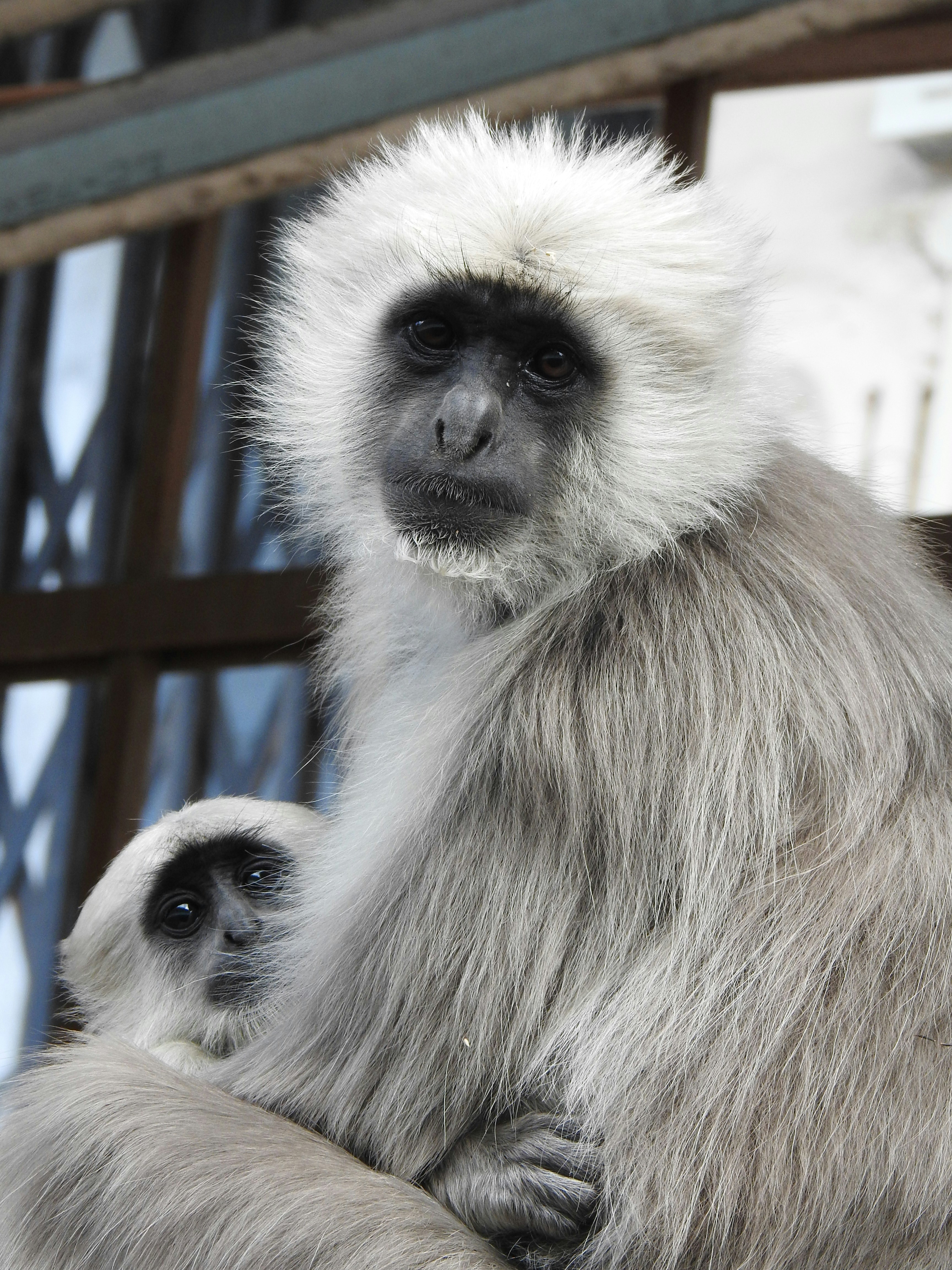 Photo by aditipanatu95