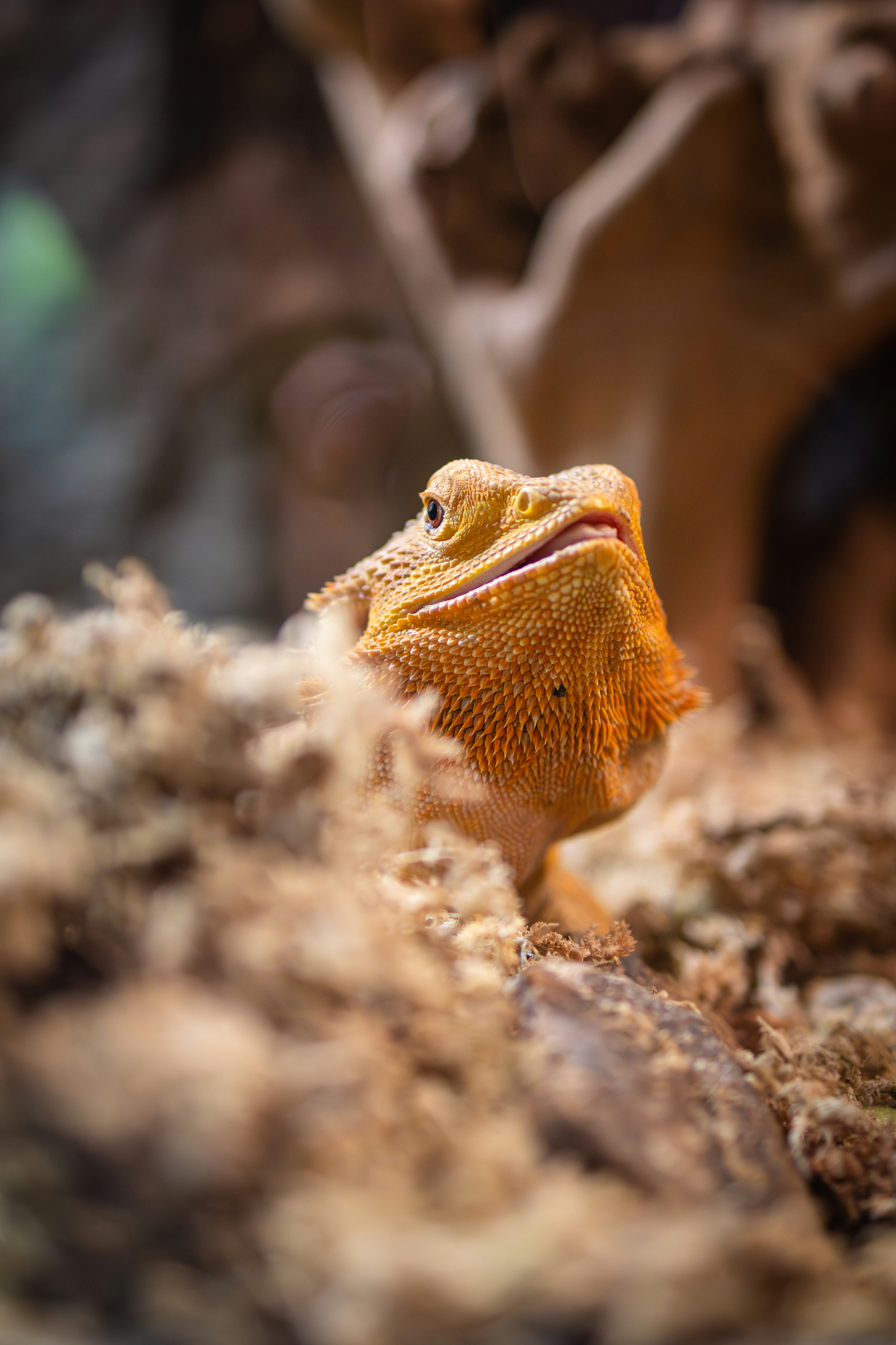 Photo by kennyvrphotography