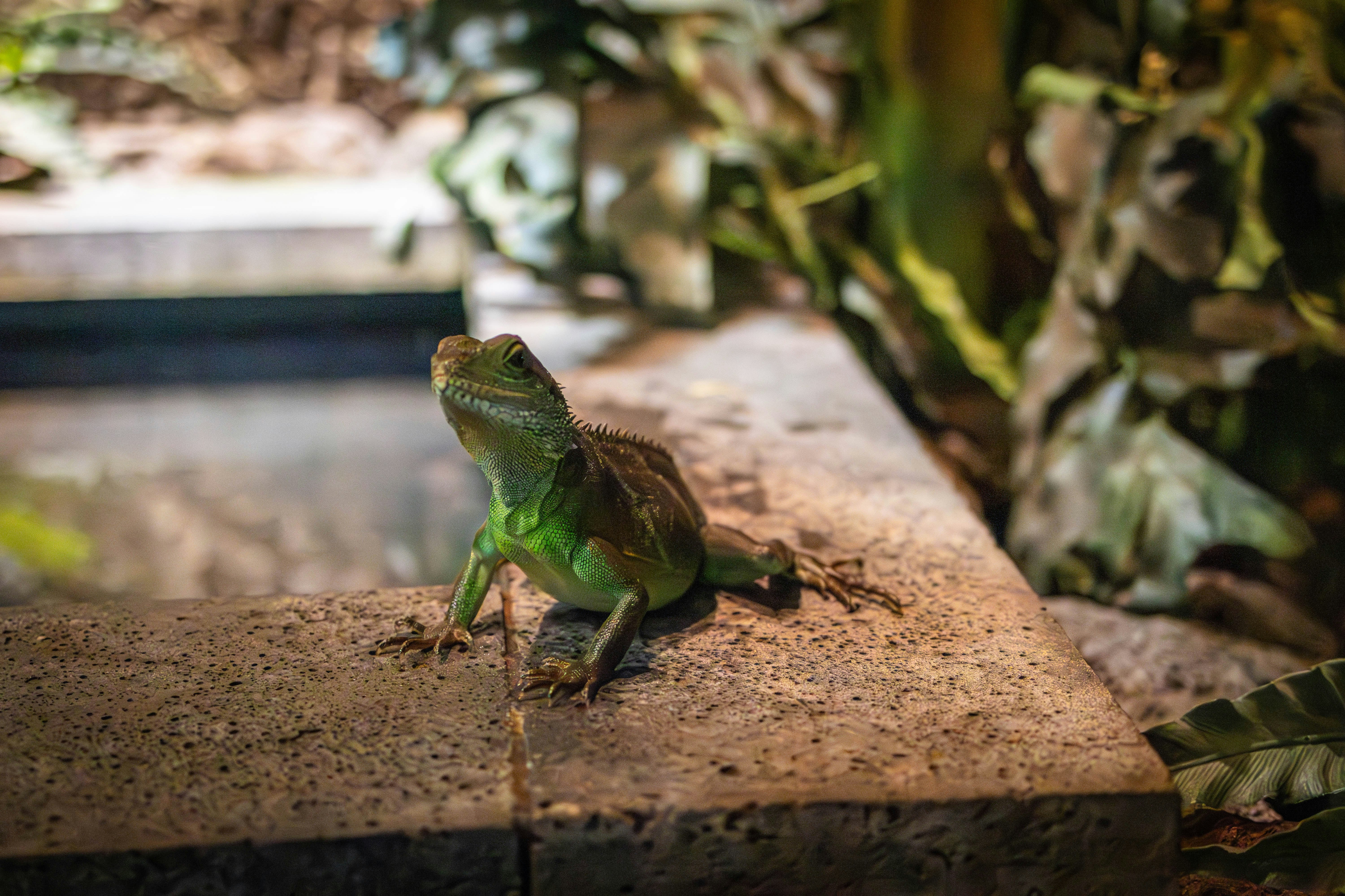 Photo by kennyvrphotography