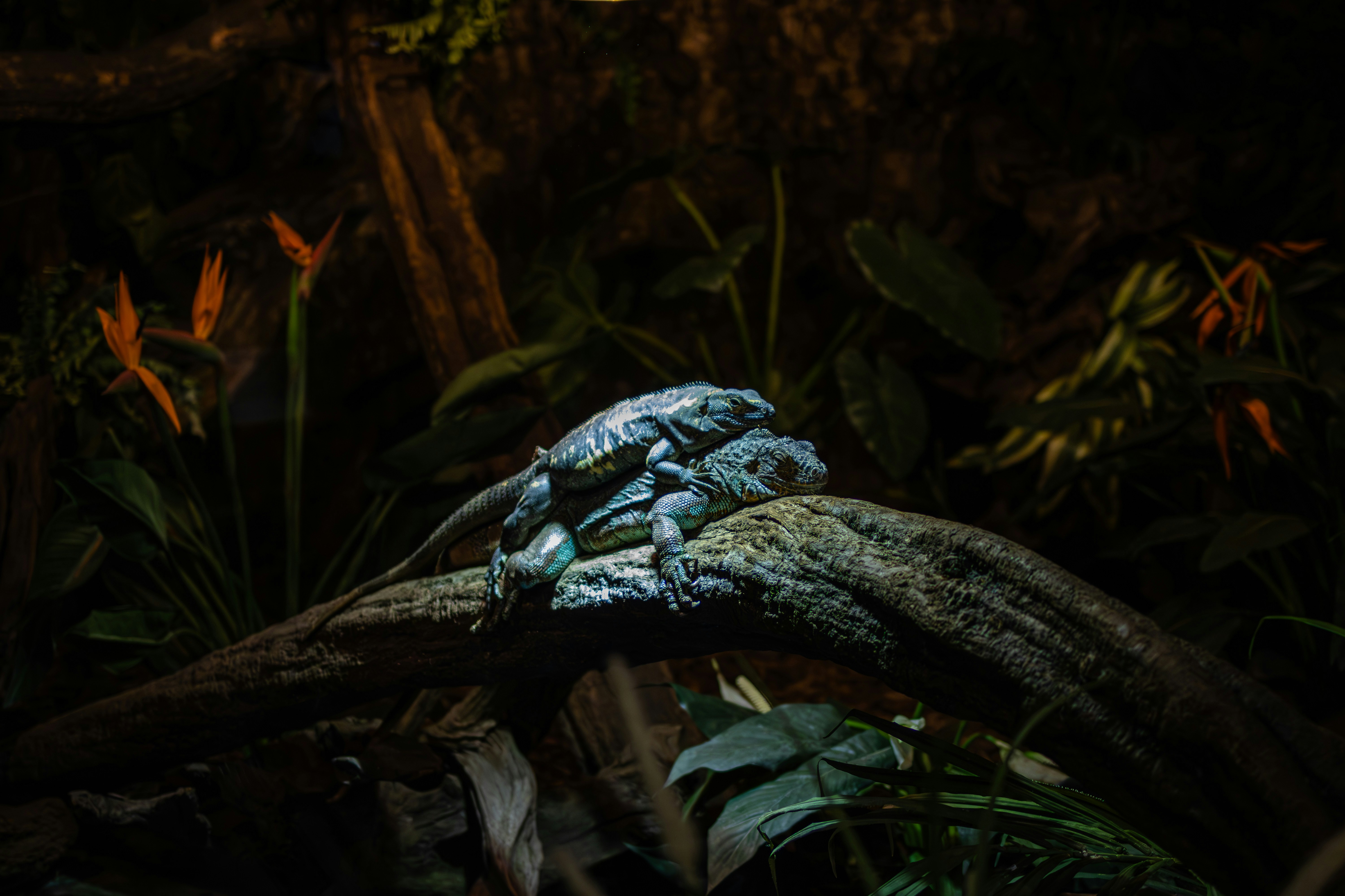 Photo by kennyvrphotography