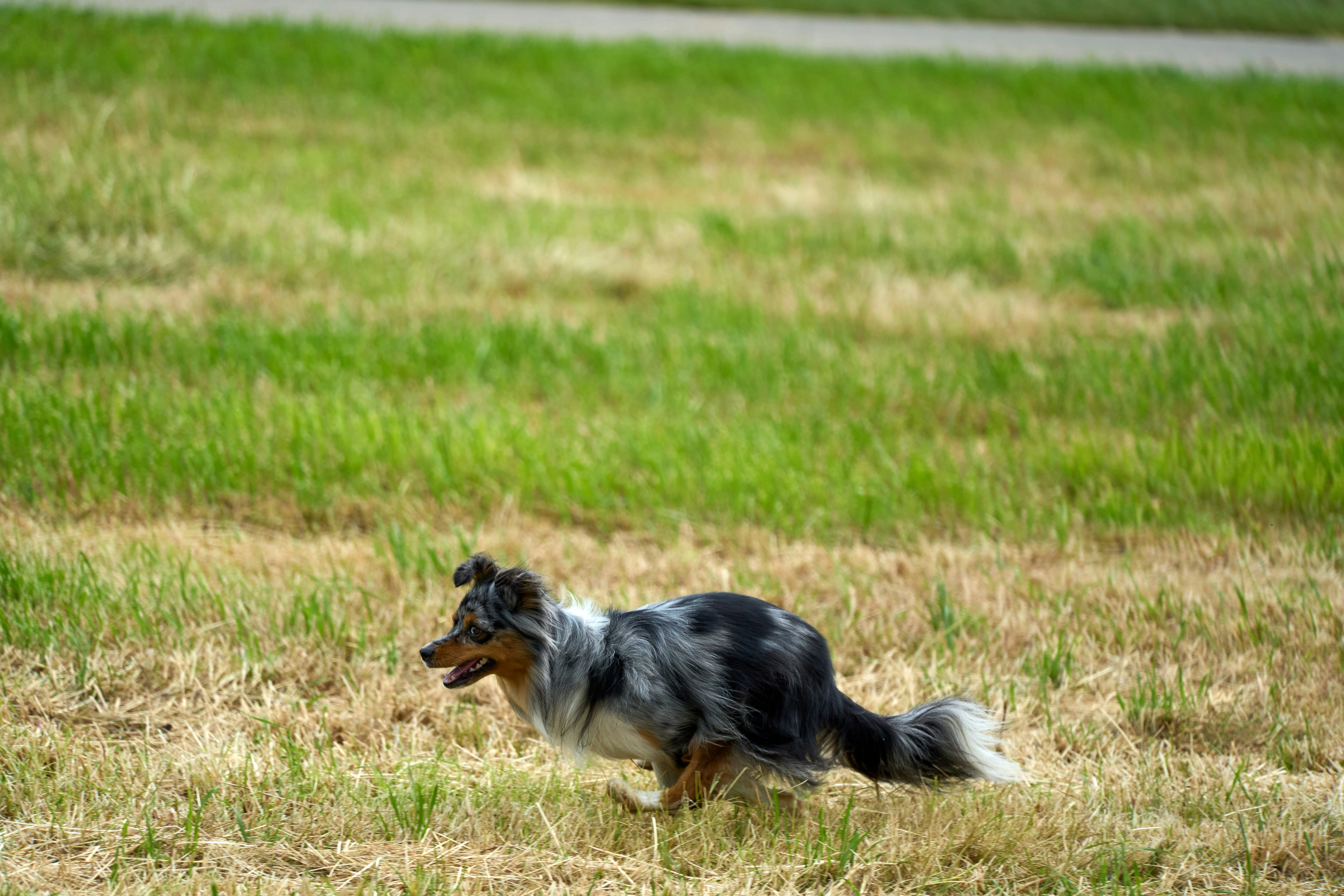 Photo by wolfgang_hasselmann