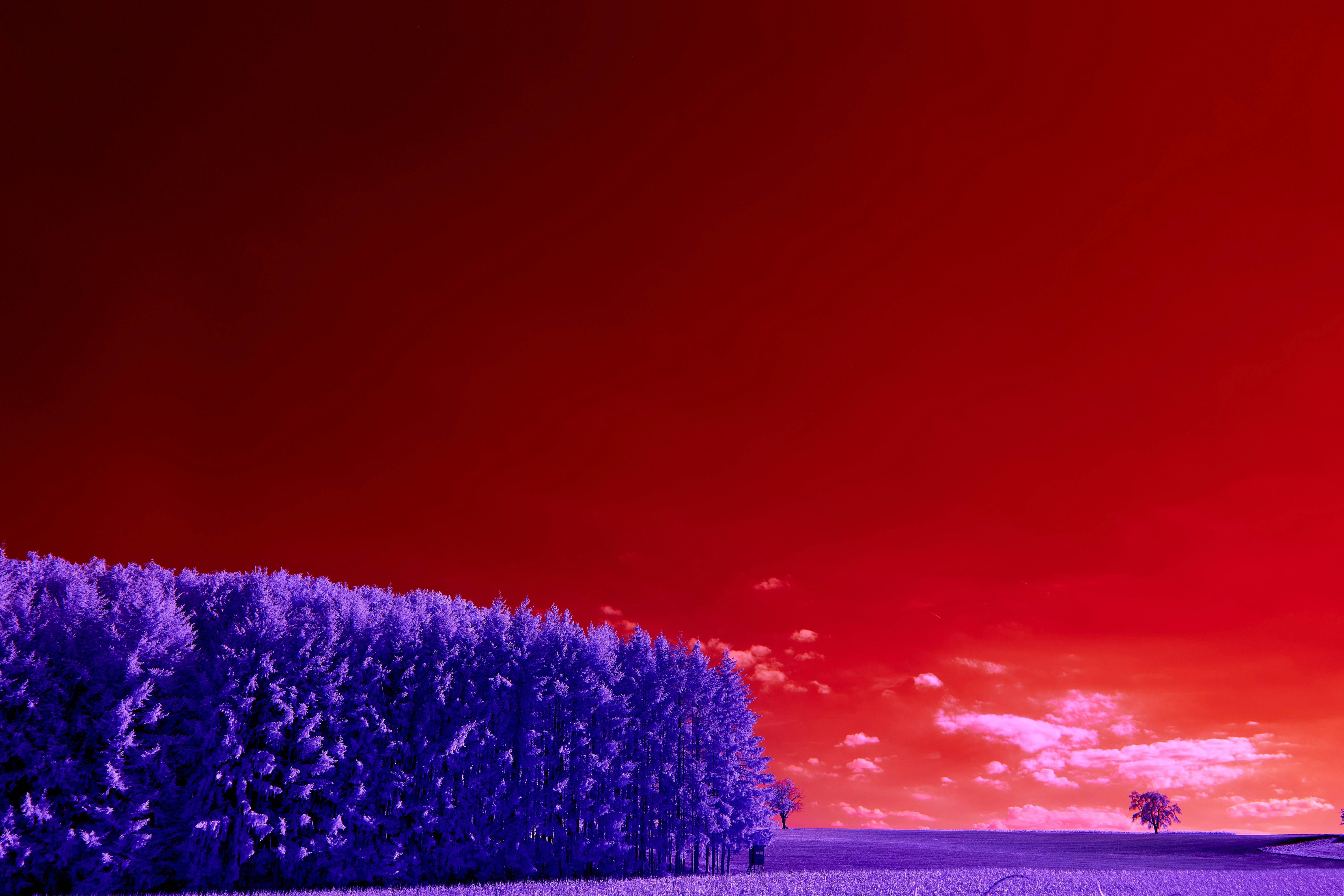 Photo by wolfgang_hasselmann