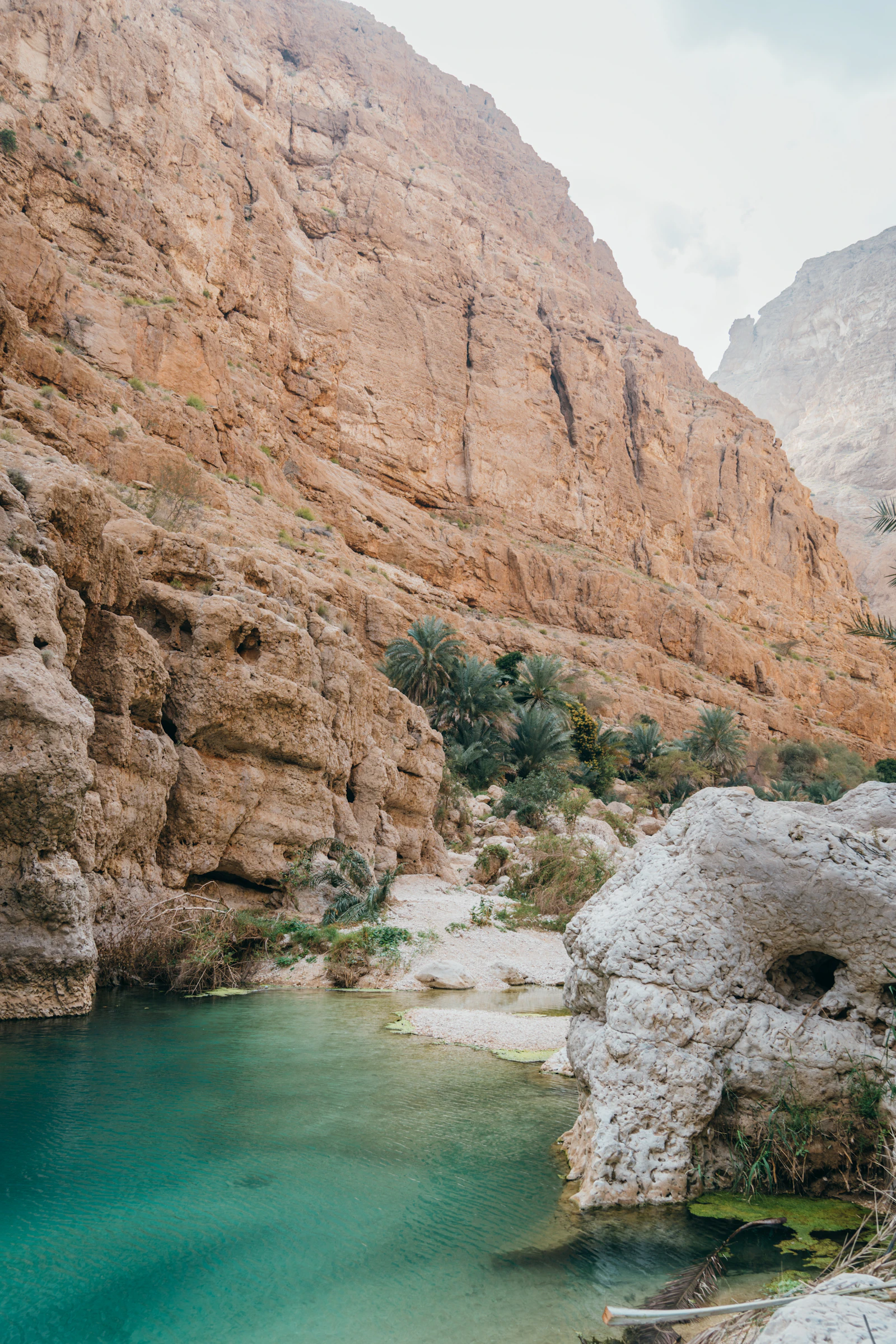 قلعة نزوى وسوقها