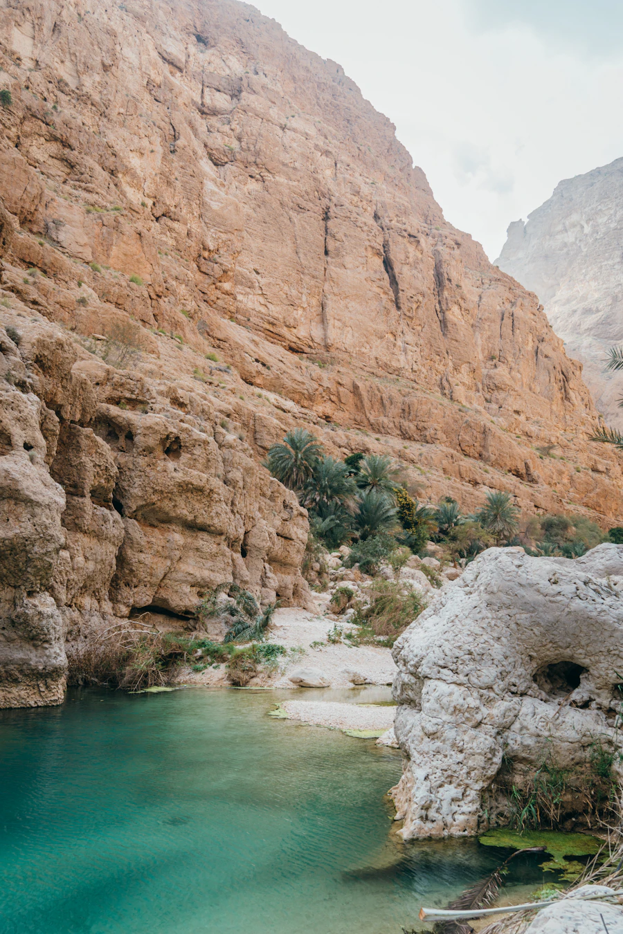 مسفاة العبريين