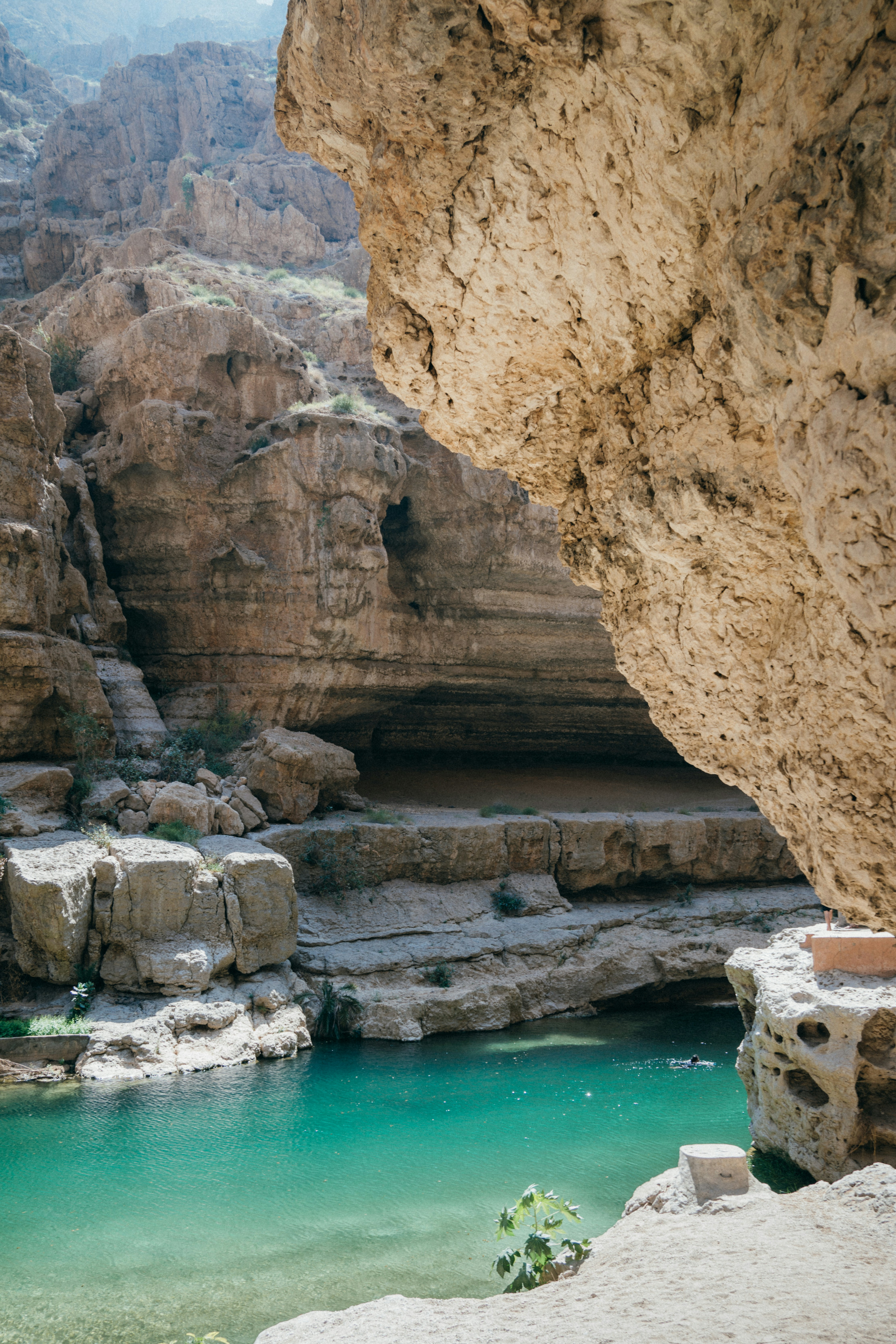 Photo by albert_canite