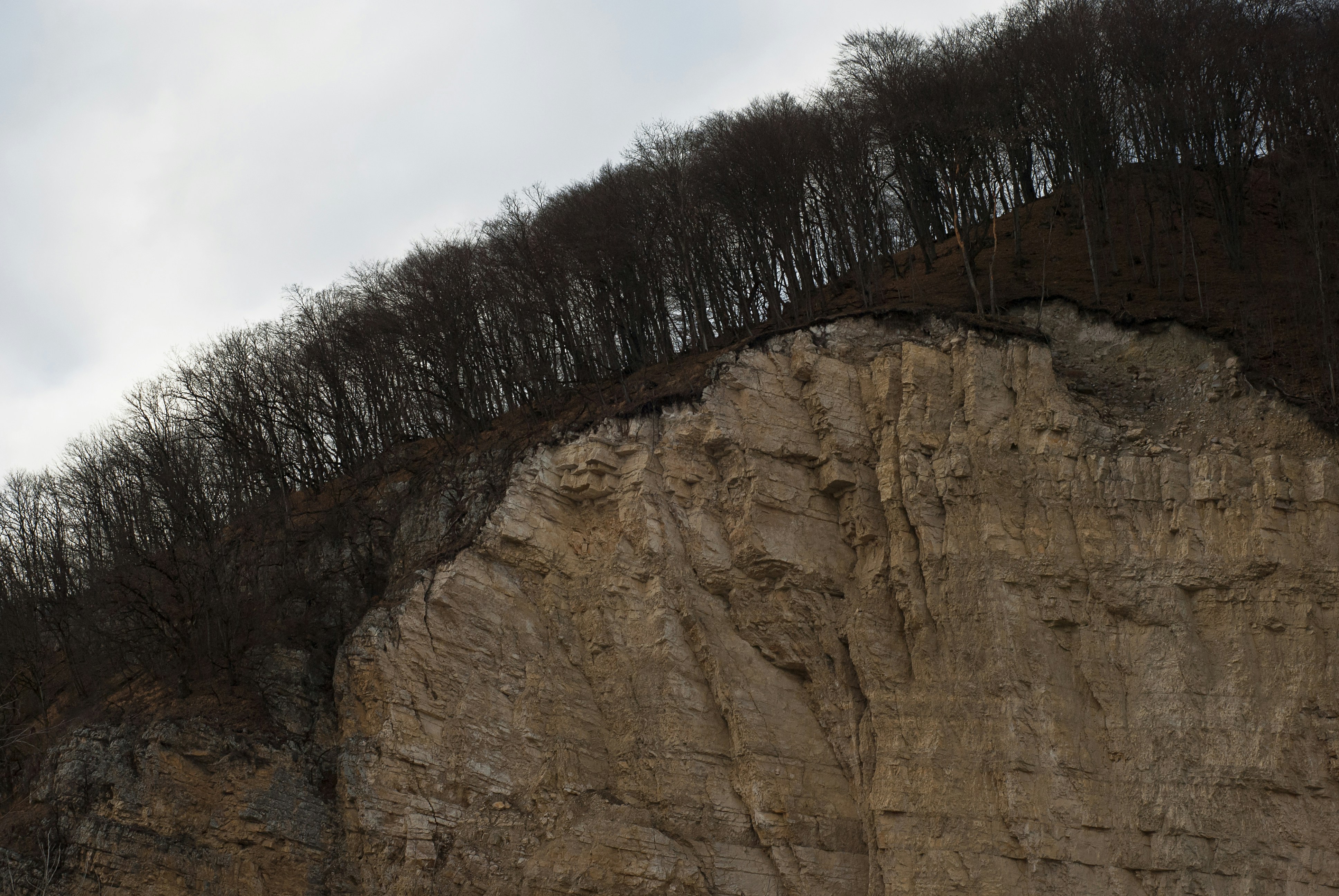 Photo by kovalskihelga