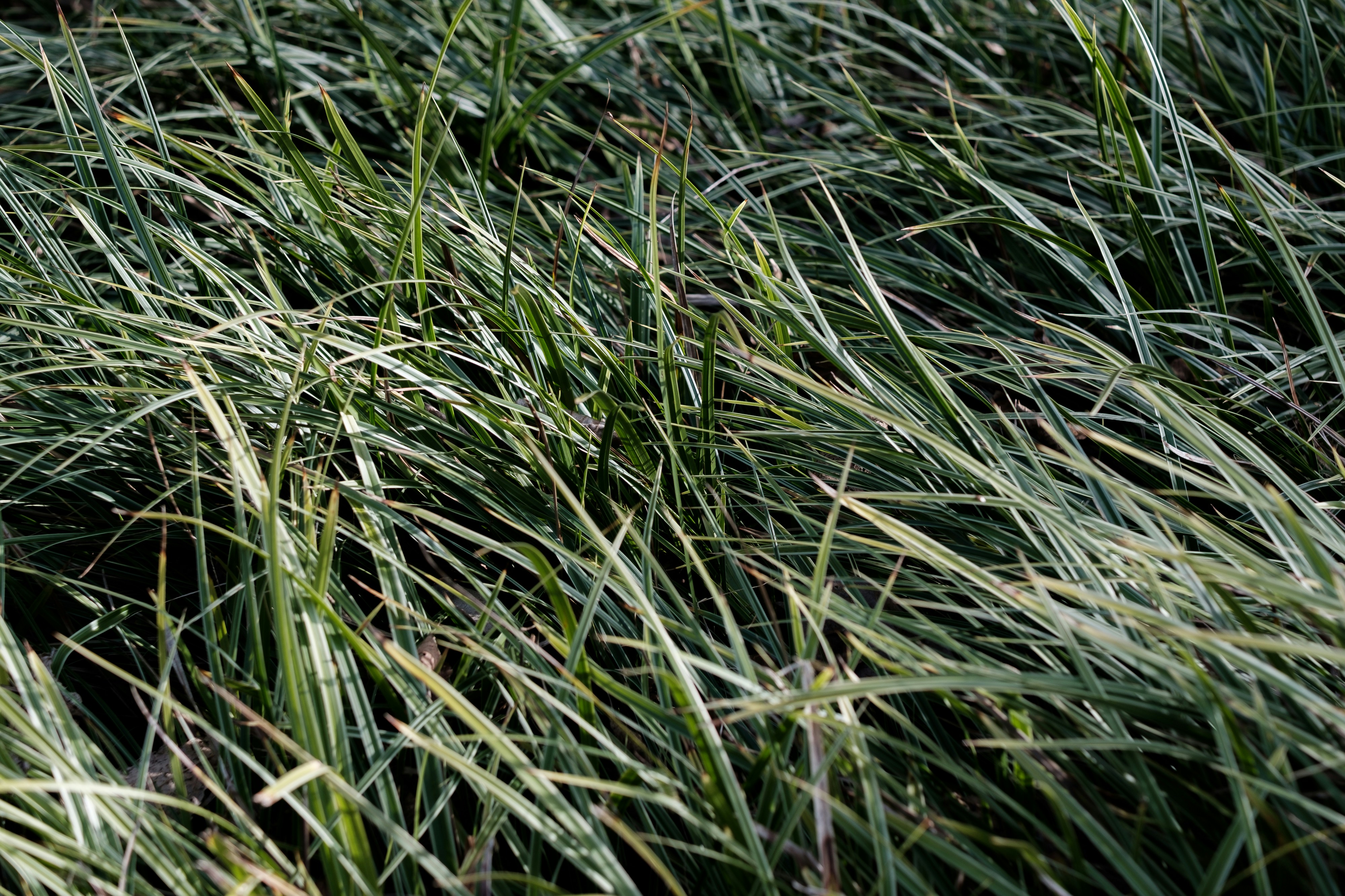 Photo by markuswinkler