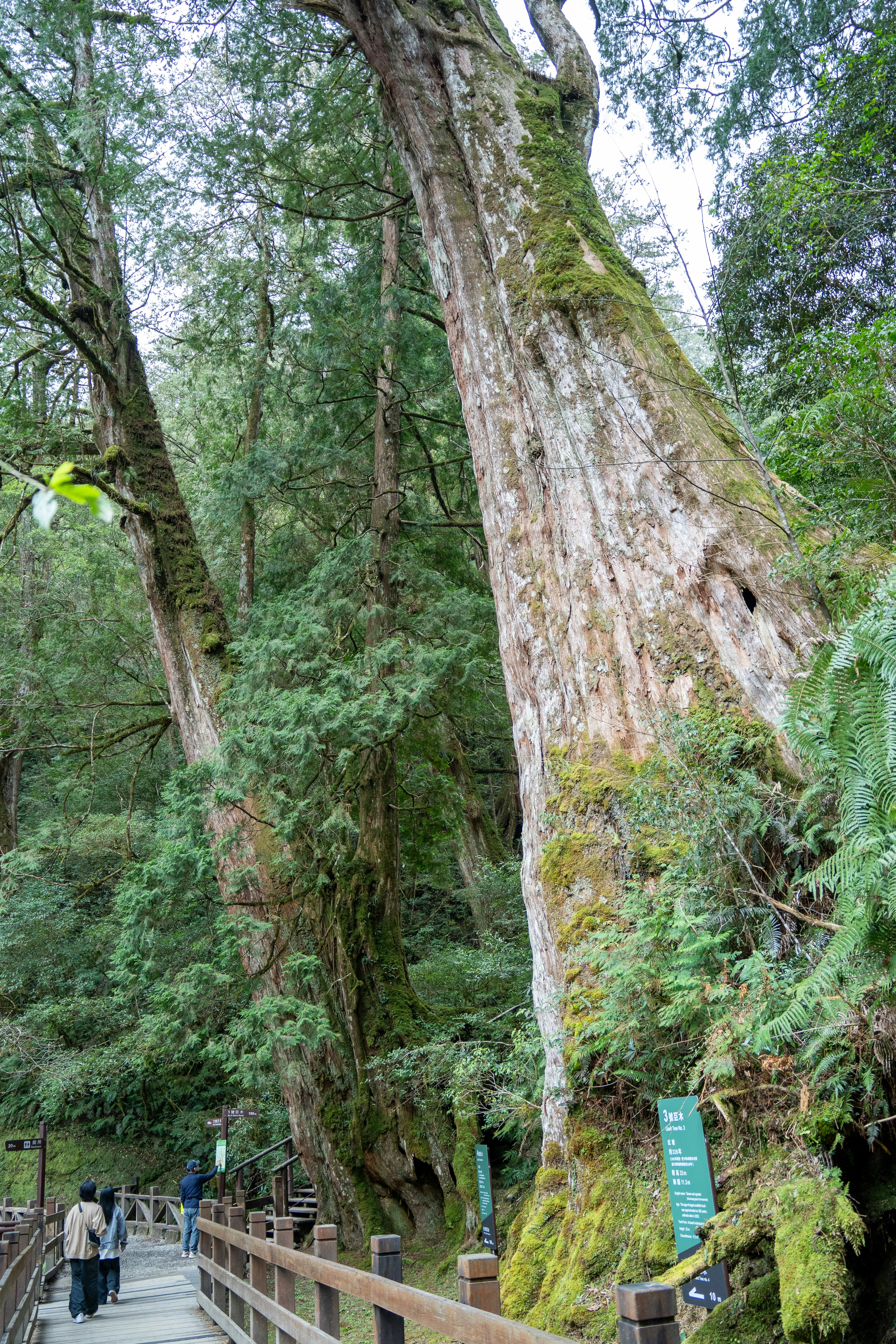 Photo by winstonchen