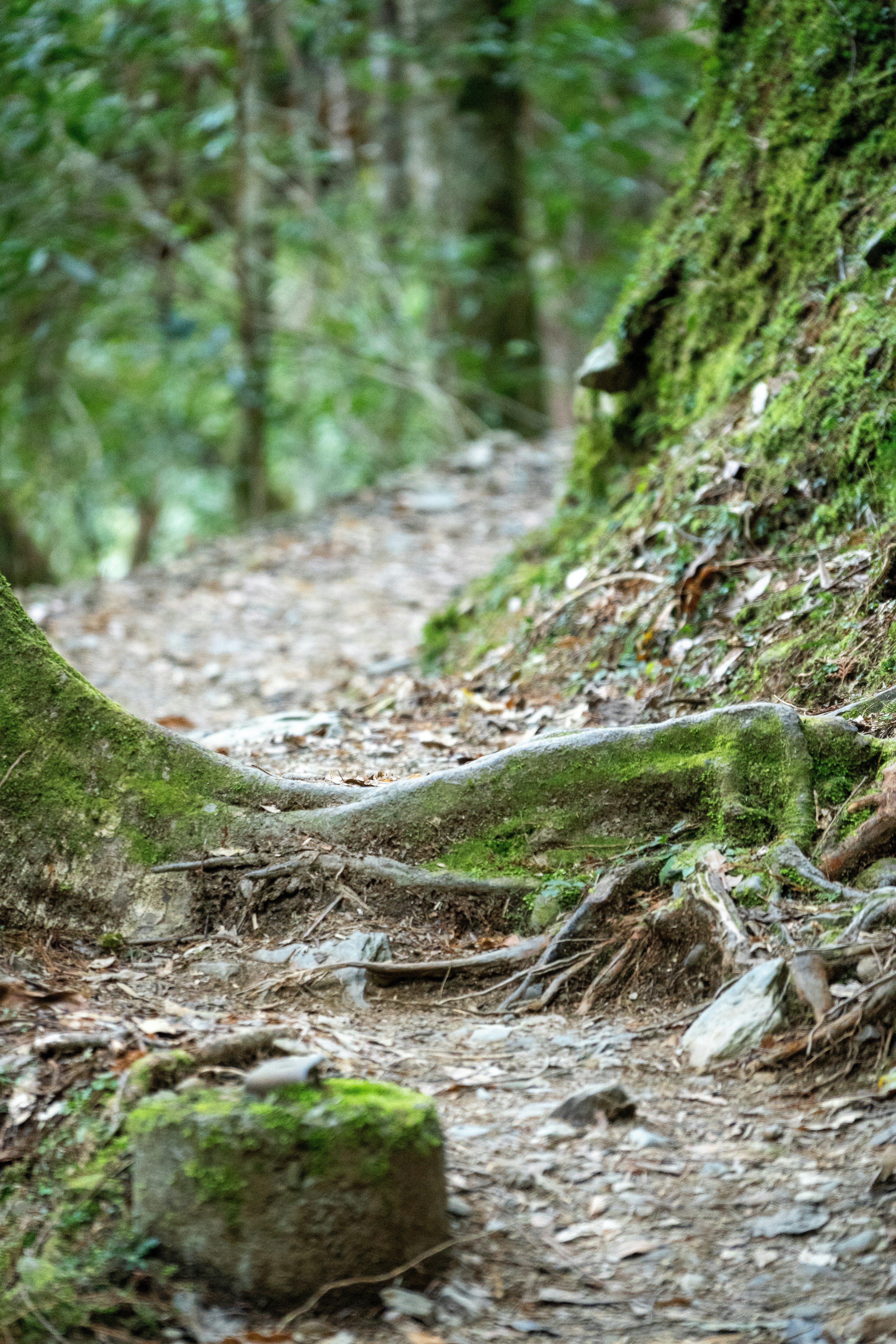 Photo by winstonchen