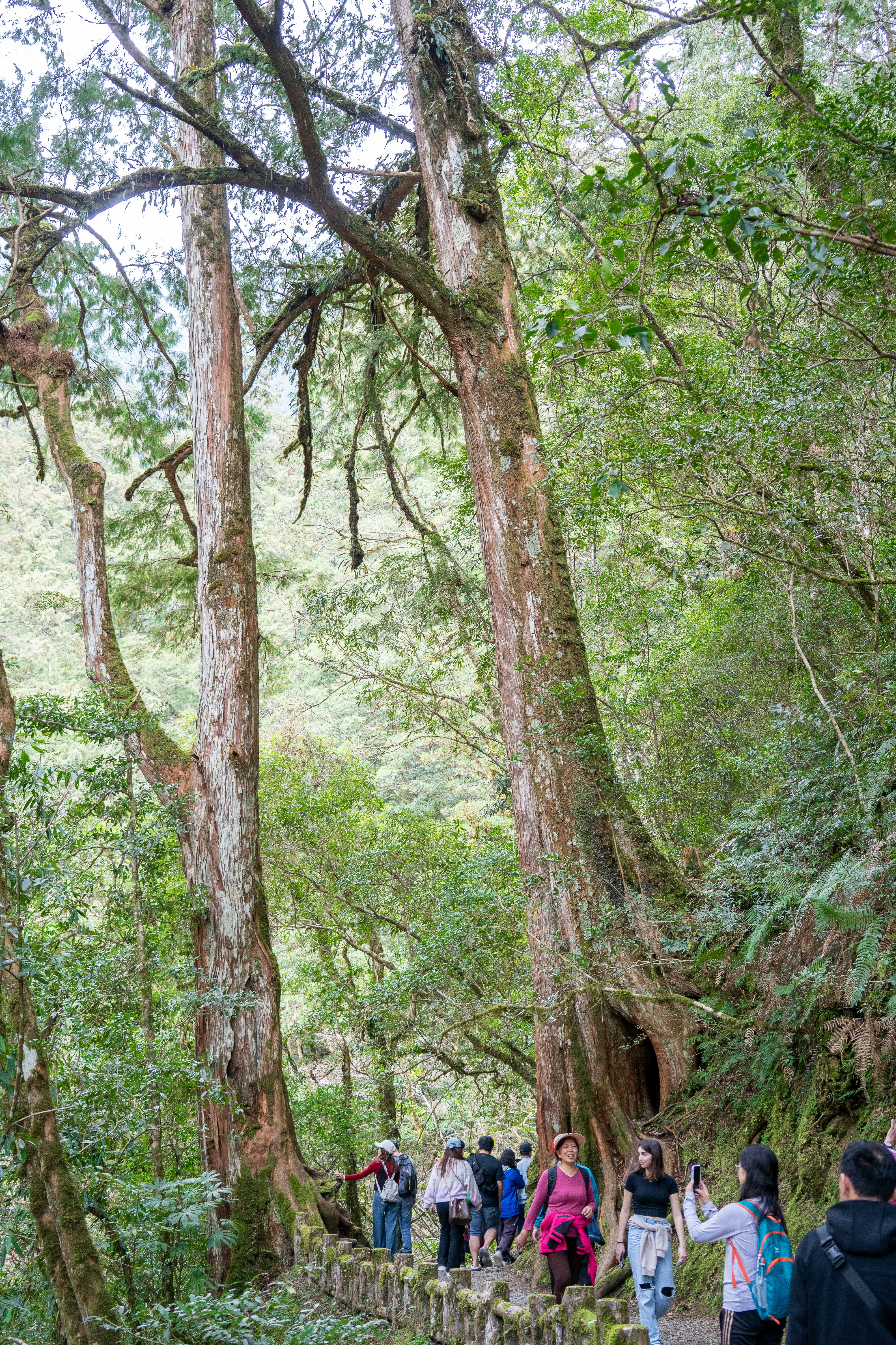 Photo by winstonchen