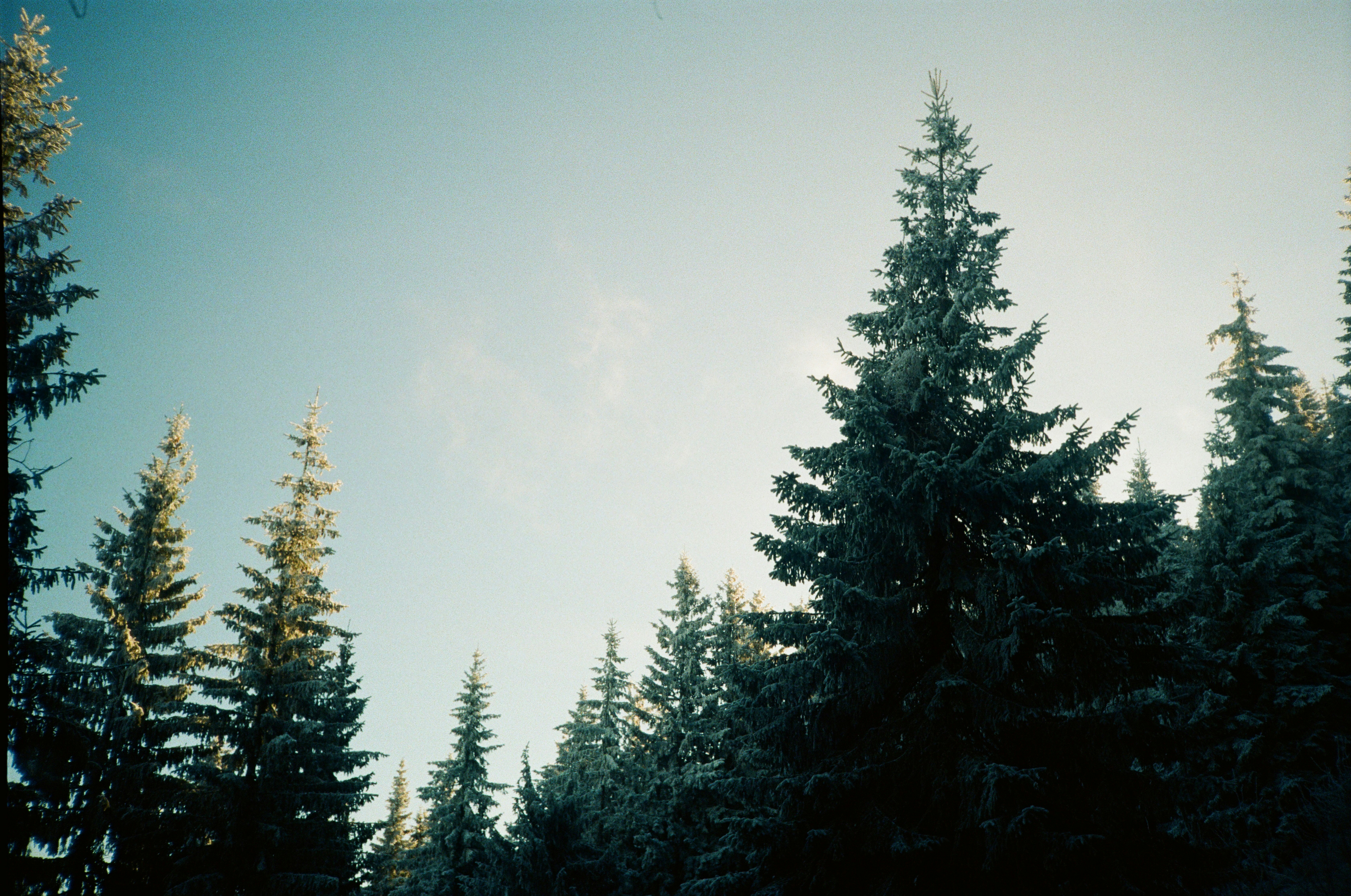 Photo by r_inascimento