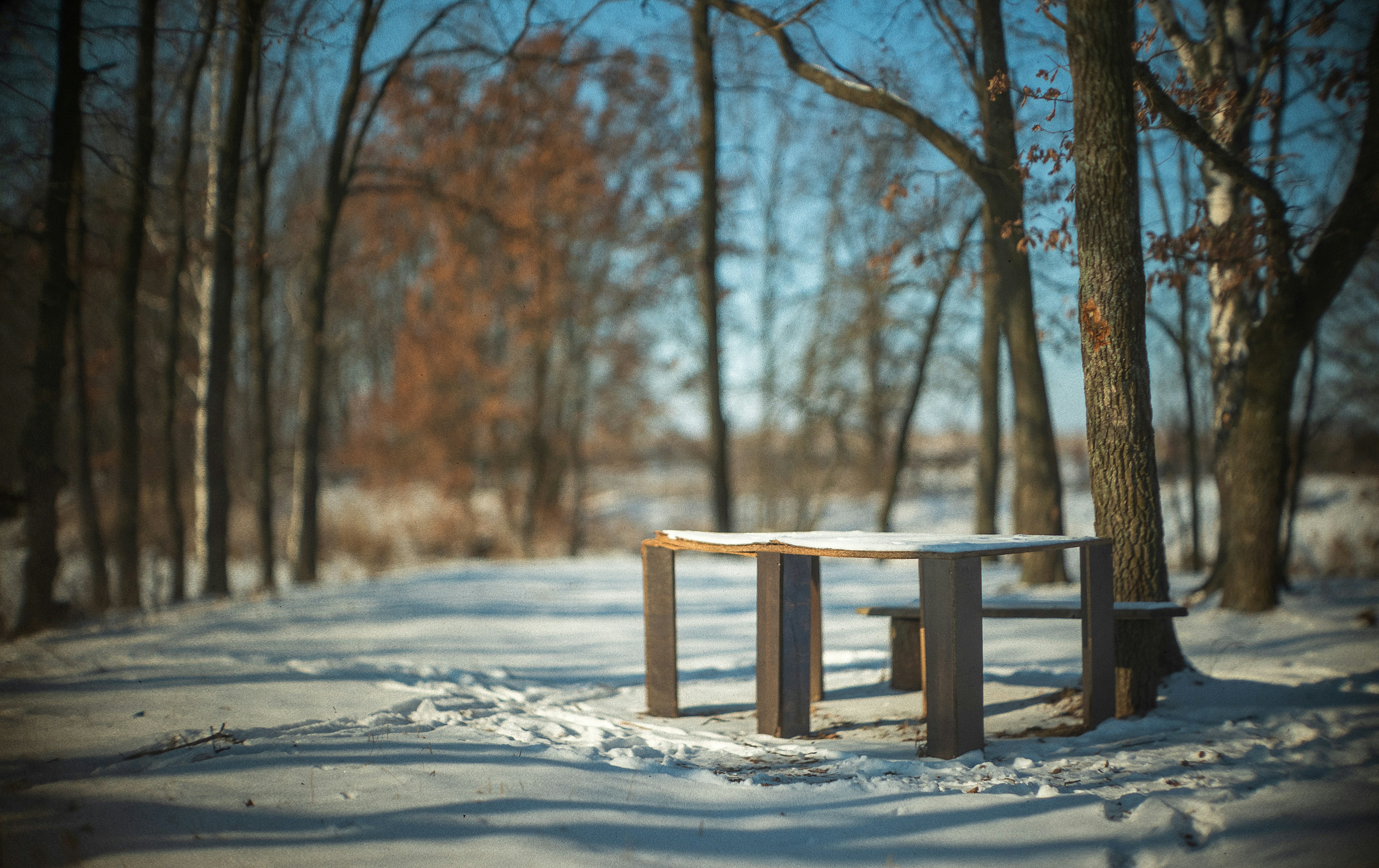 Photo by andrilliardbond