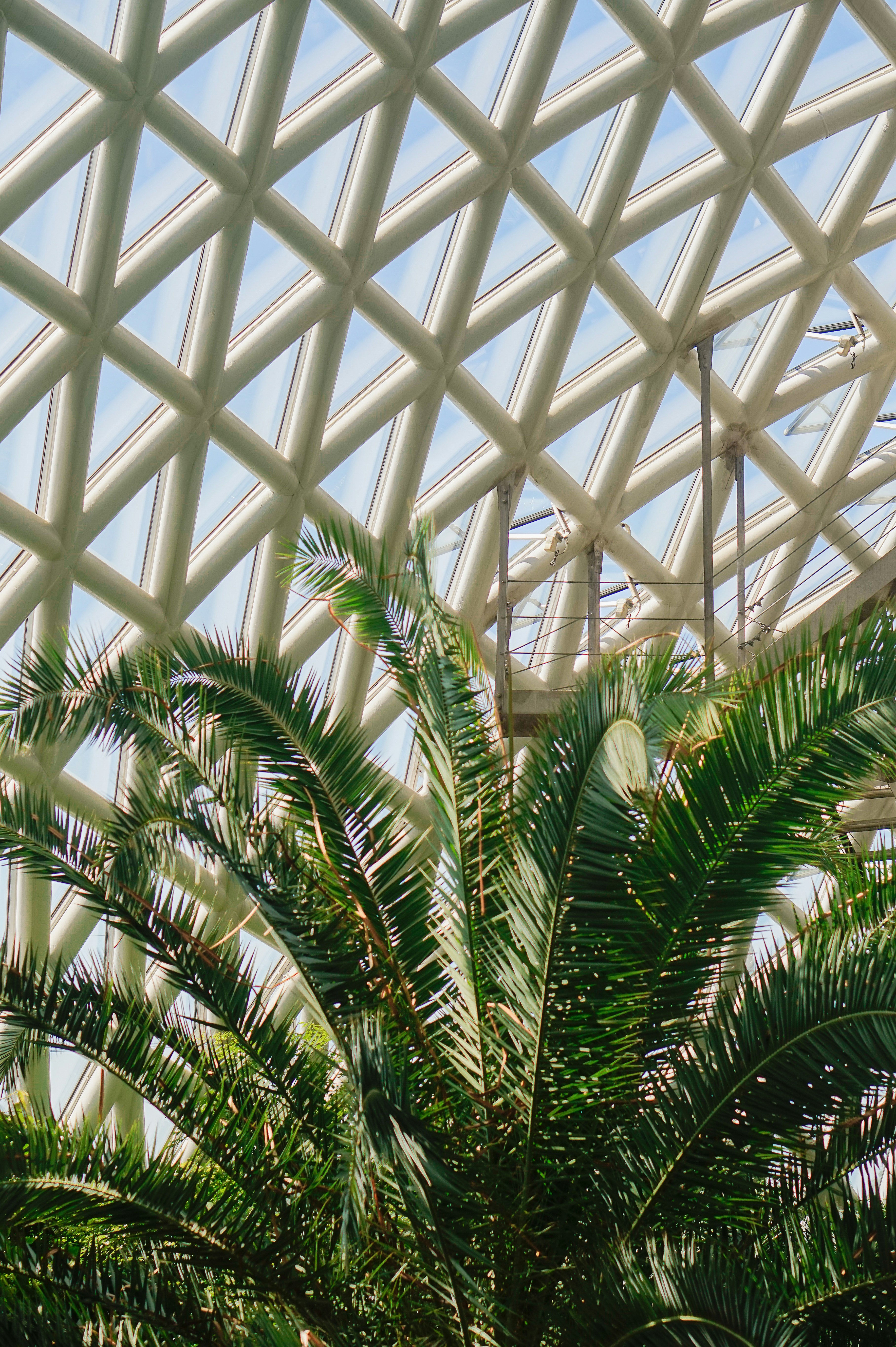 Photo by thingsneverchange