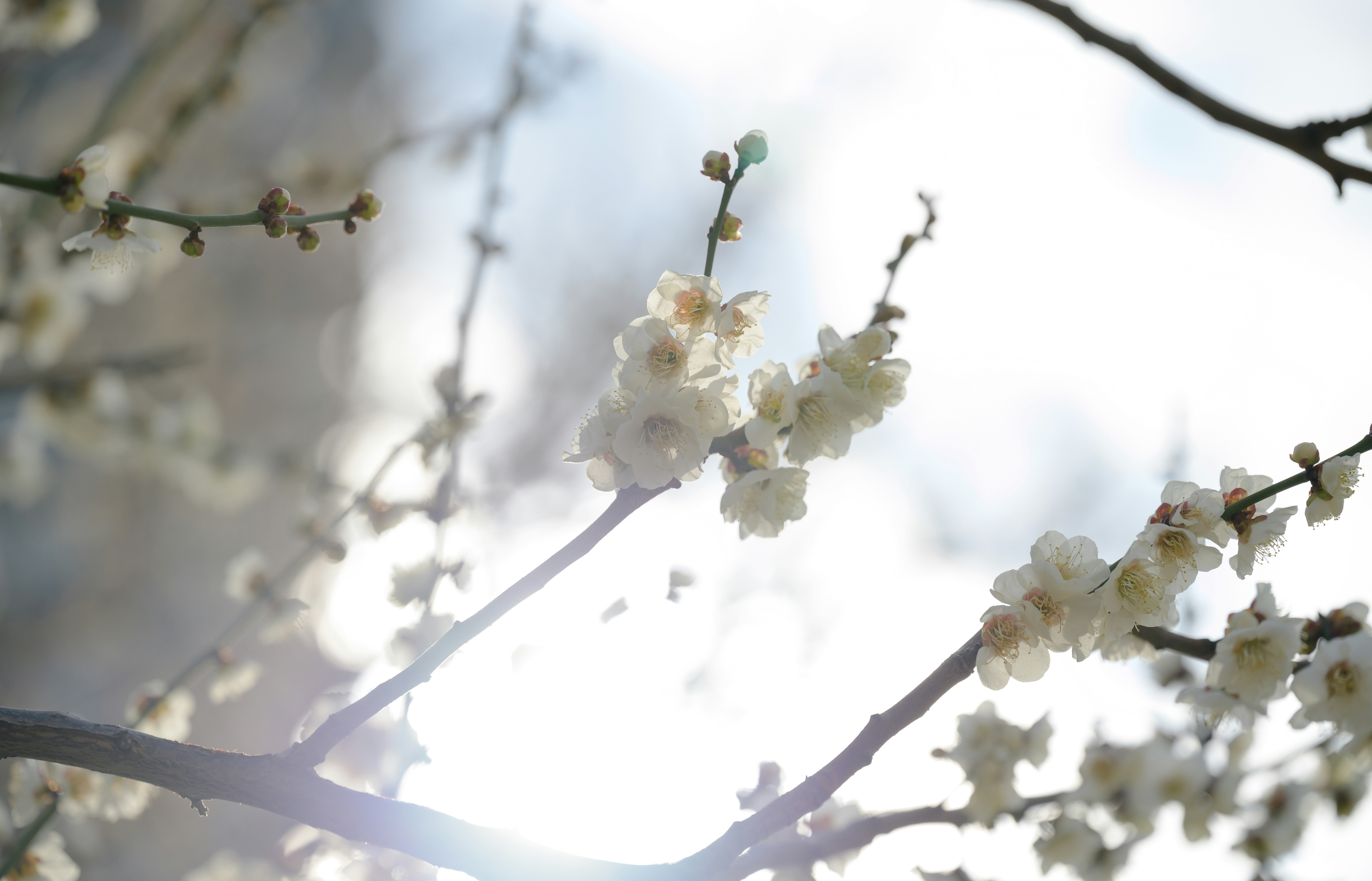 Photo by hayato_no_kiroku