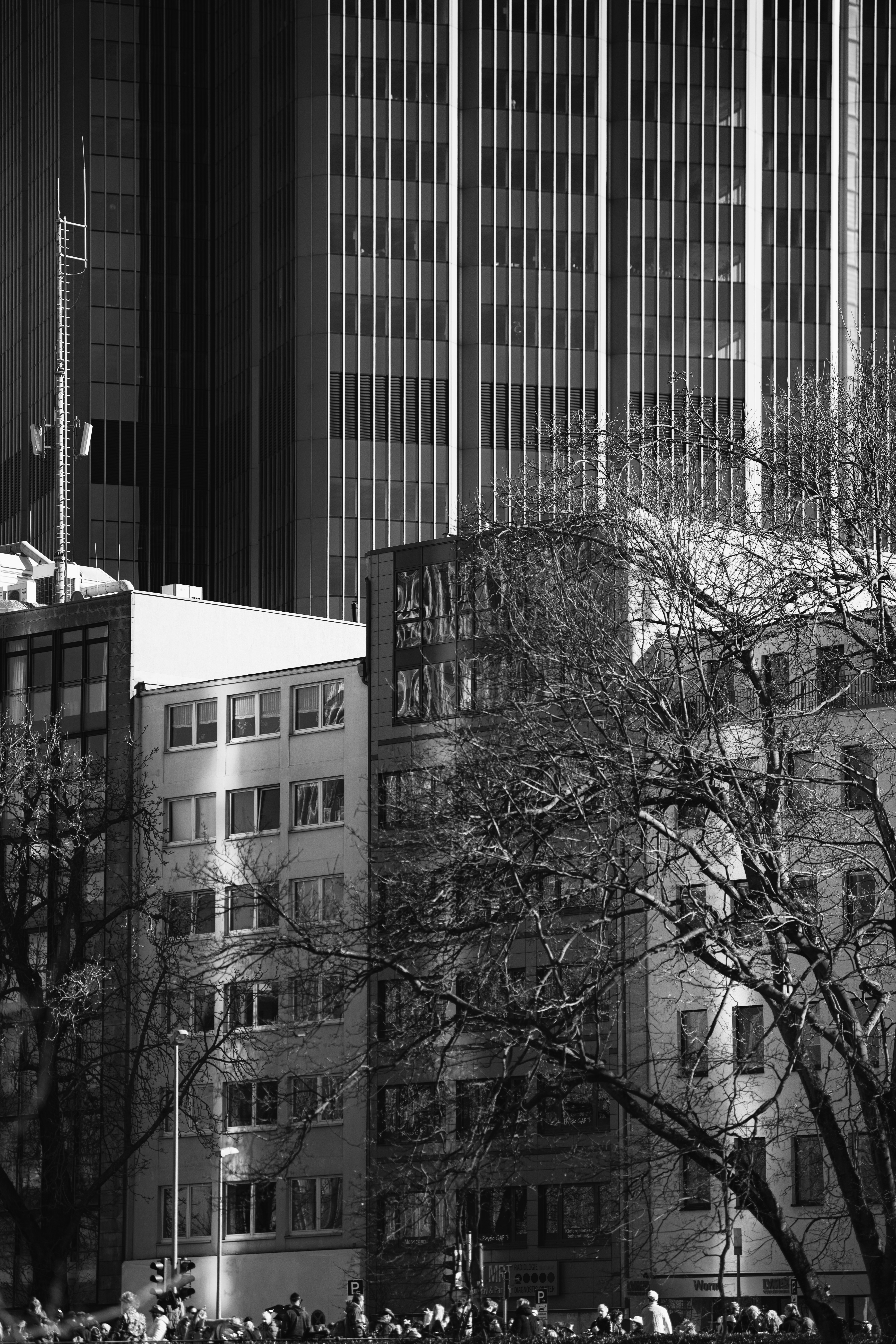 Urban skyline features tall buildings and trees.