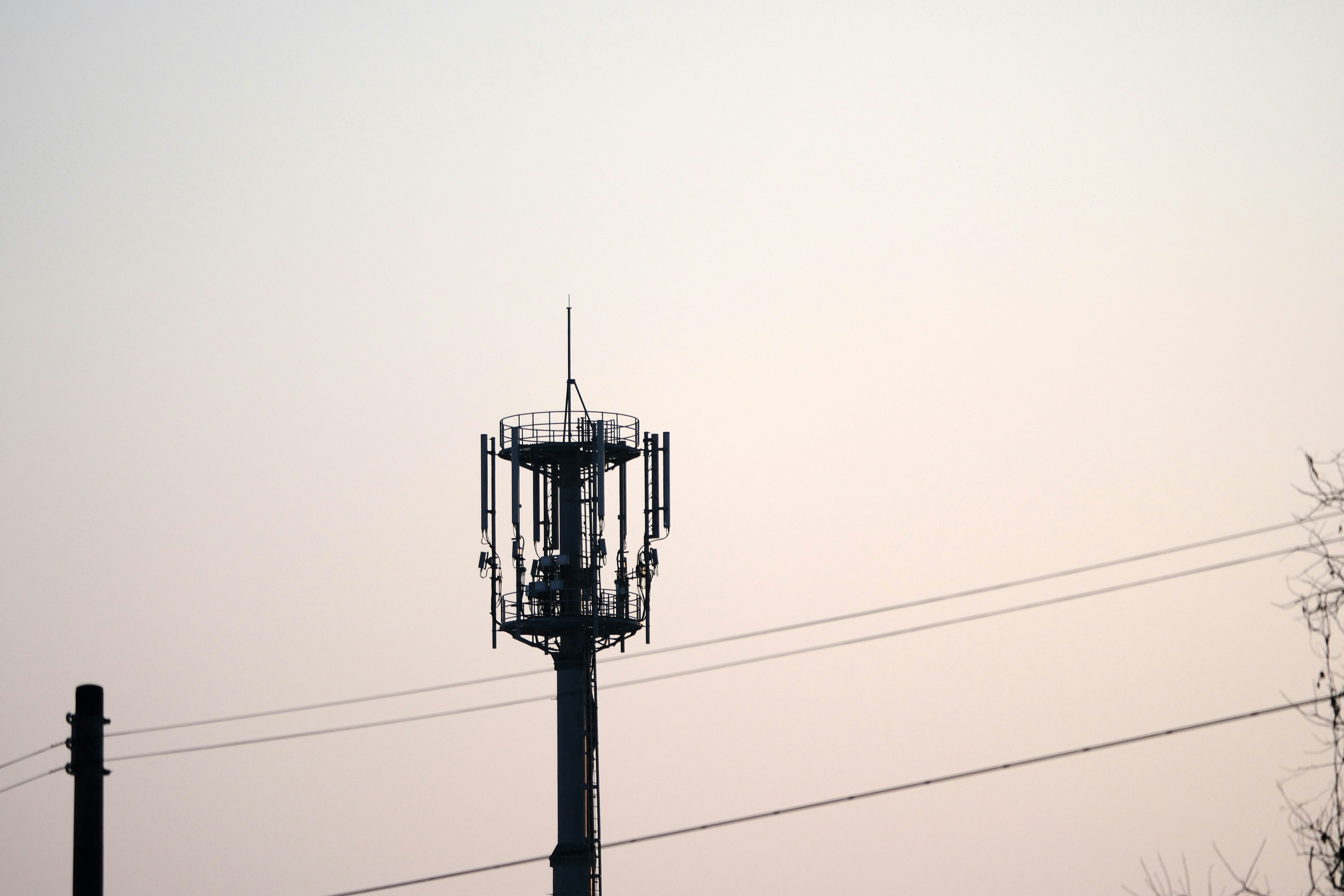 Photo by seiya_maeda