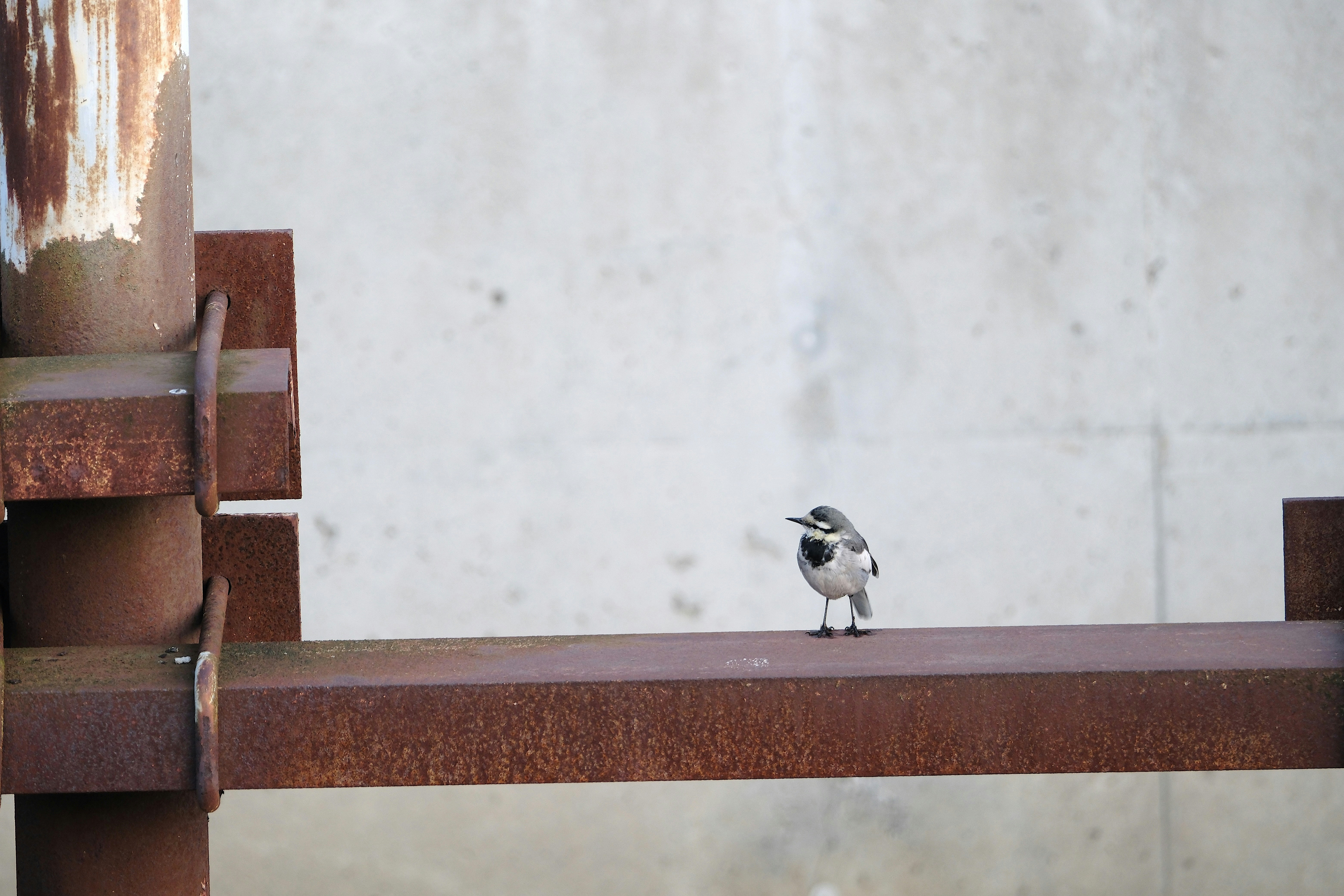 Photo by seiya_maeda