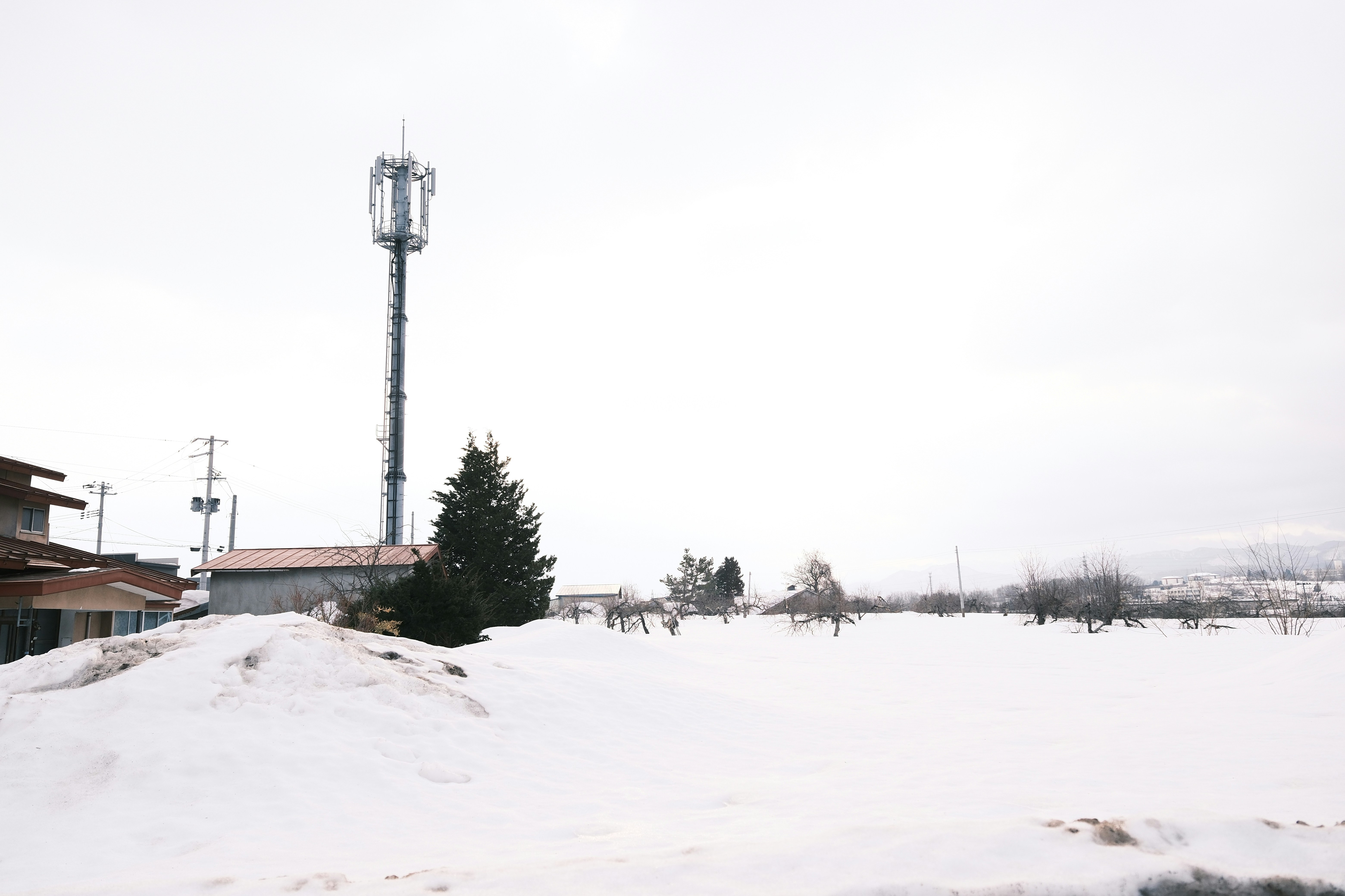 Photo by seiya_maeda