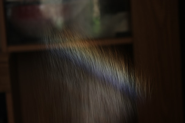 A rainbow appears inside from light.