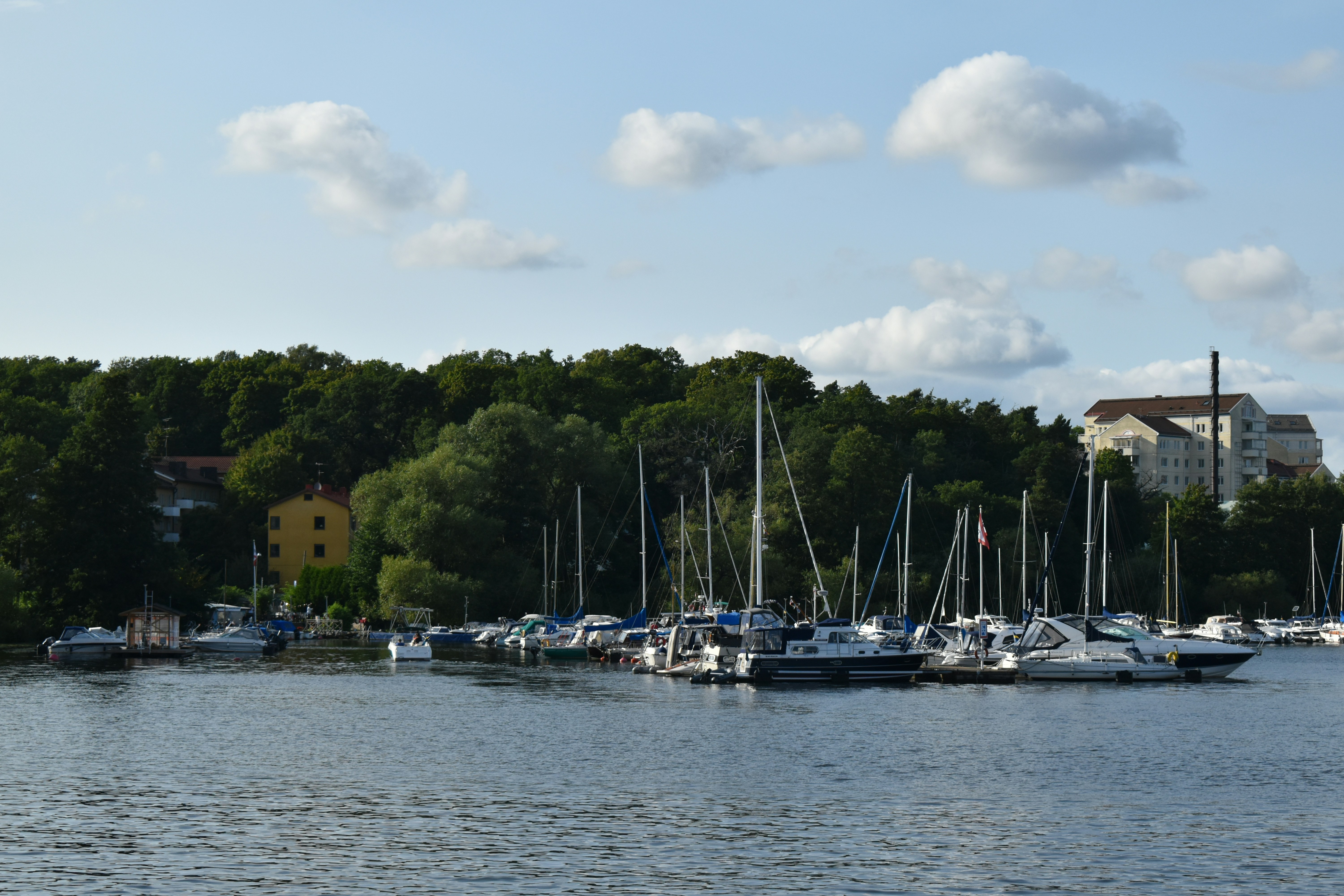 Photo by niloufarmirhadi