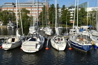 Sailboats are docked in a harbor.