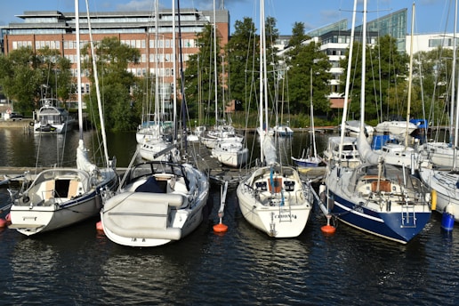 Sailboats are docked in a harbor.