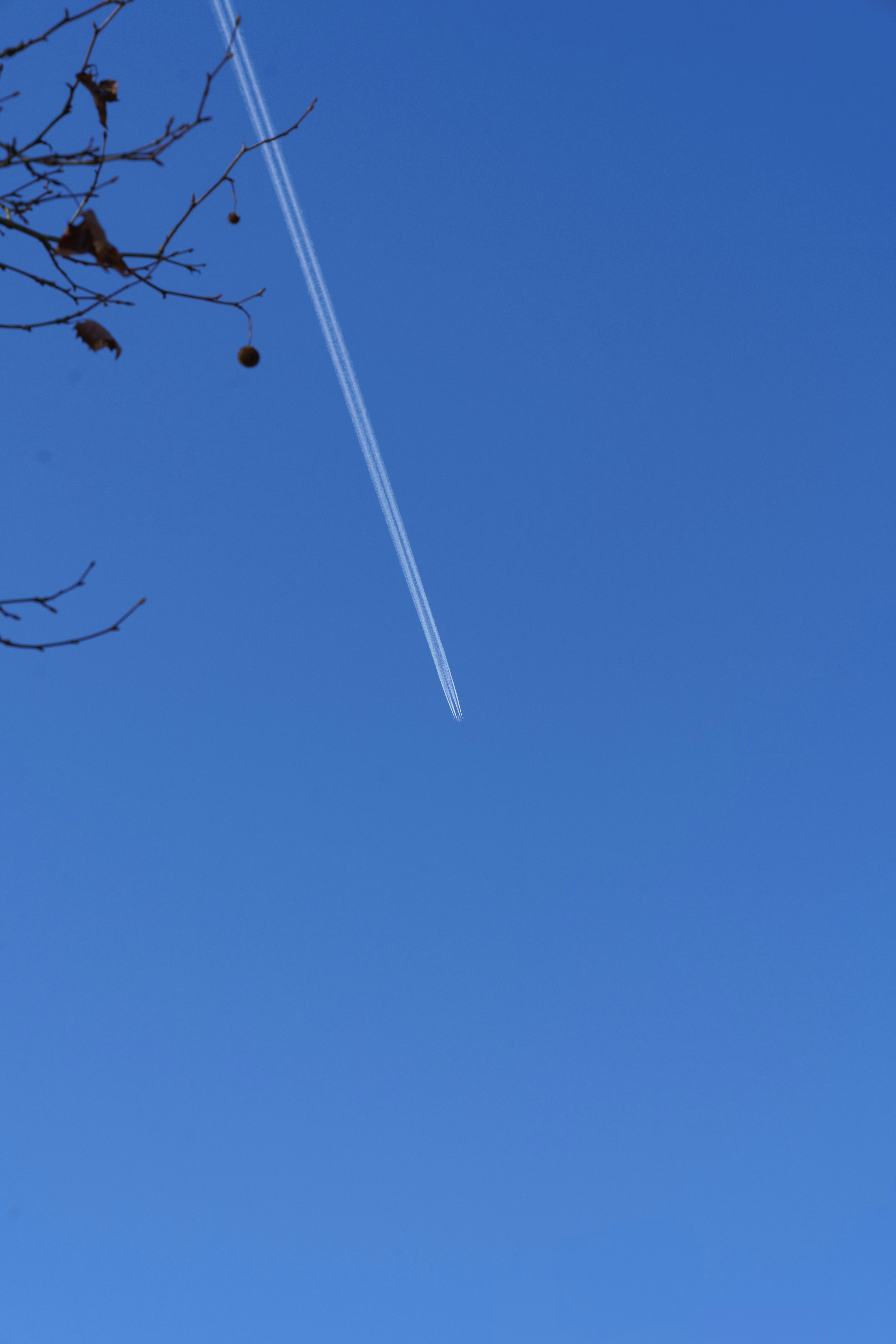 Photo by bangscreative