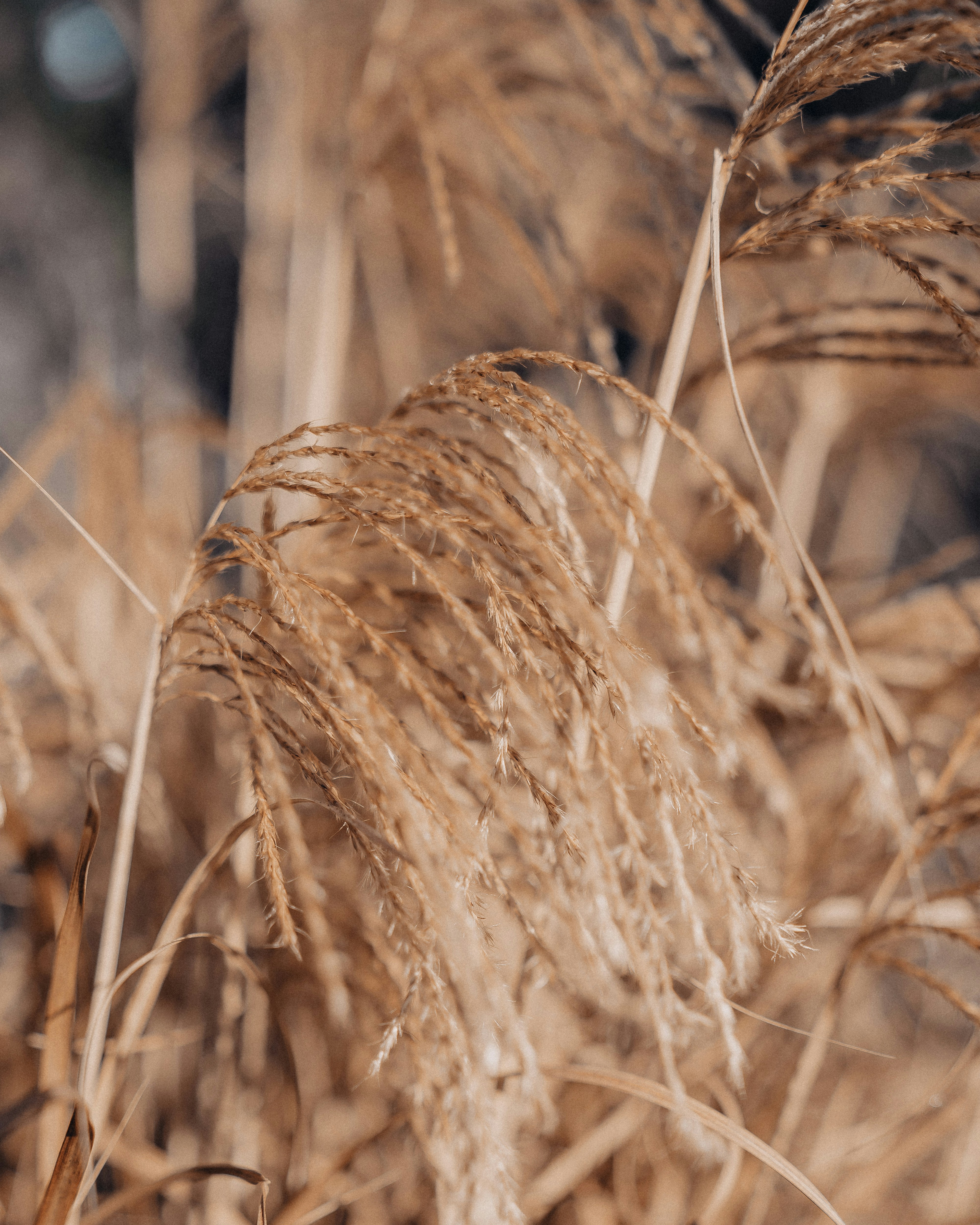 Photo by bangscreative