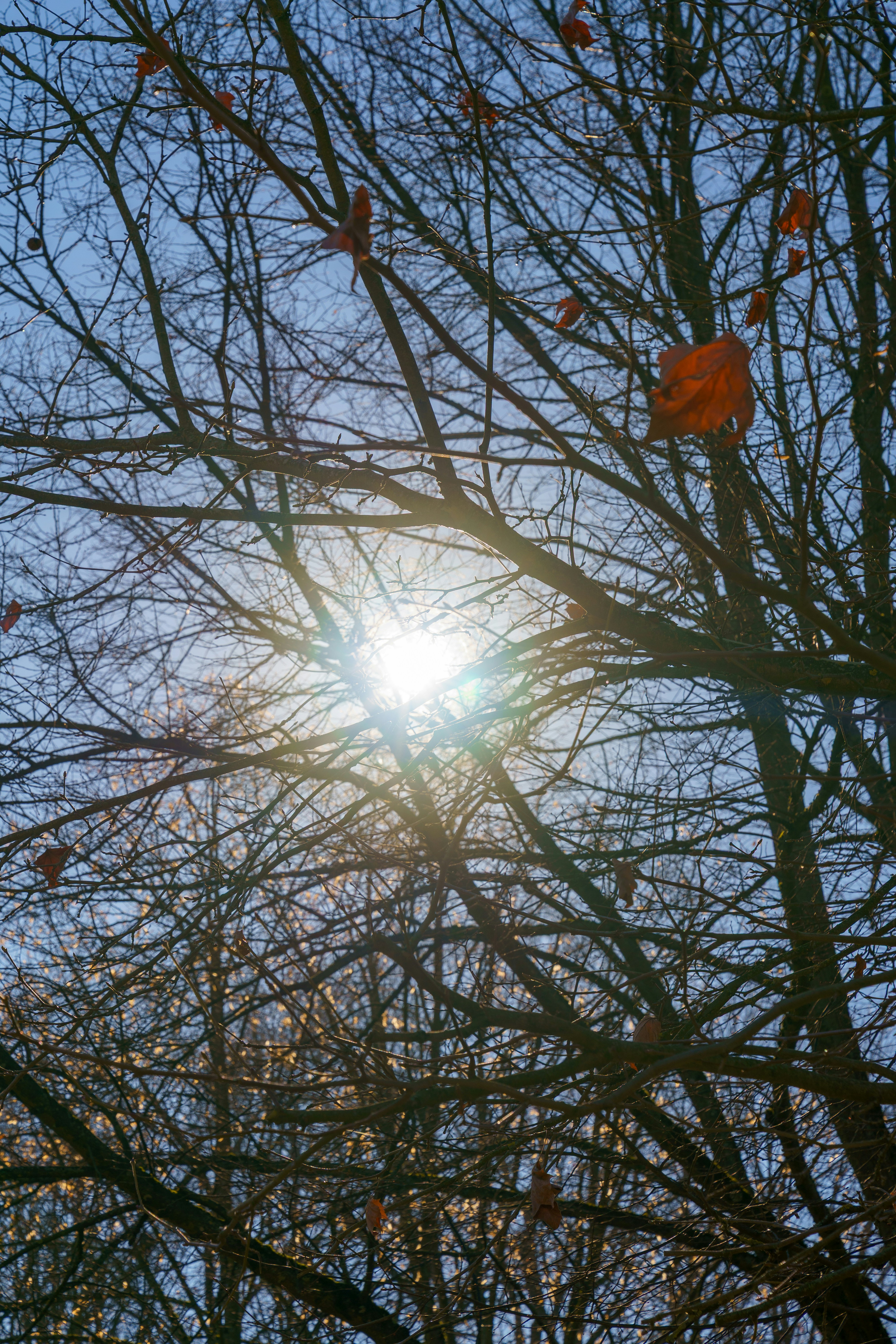 Photo by bangscreative