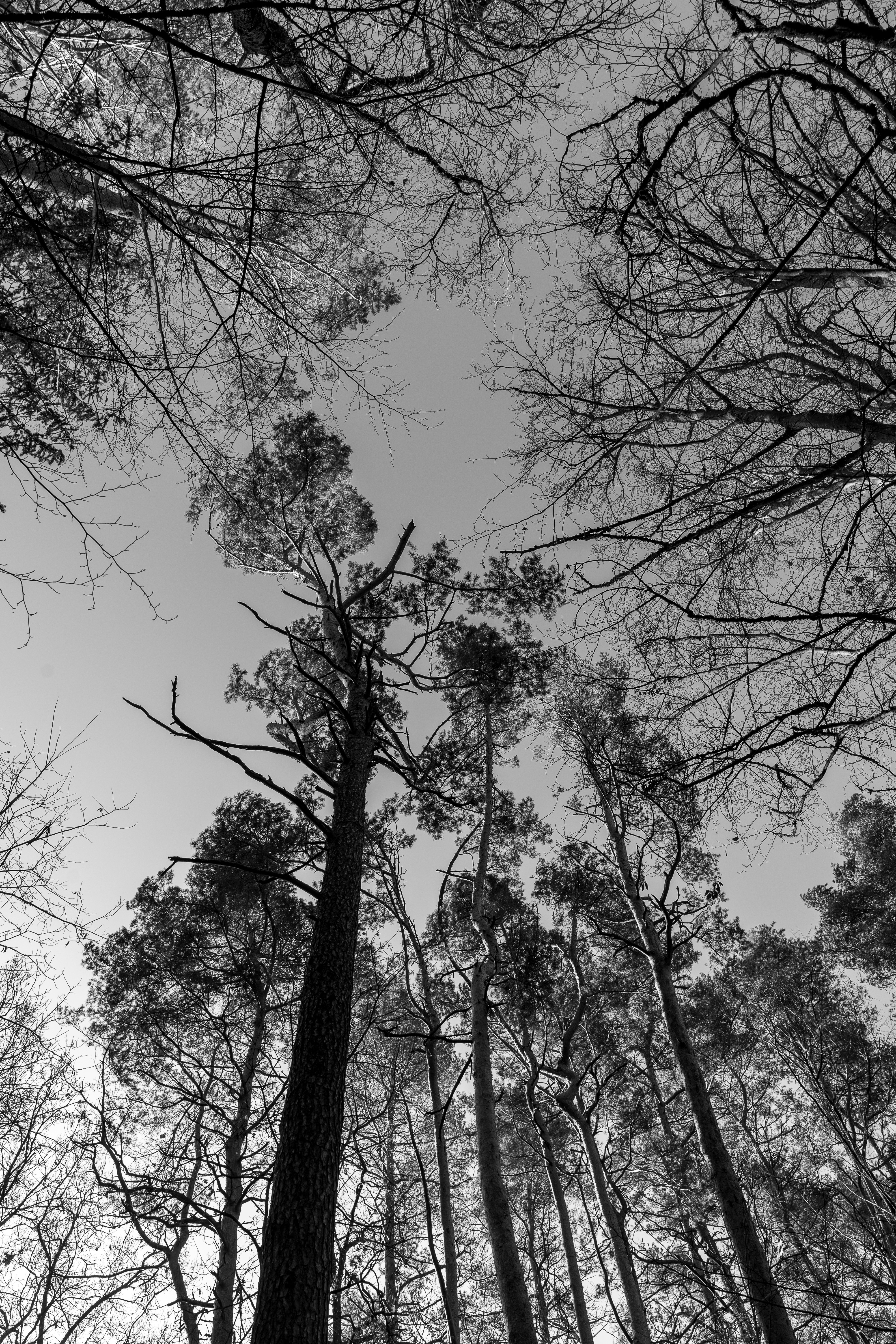 Photo by bangscreative