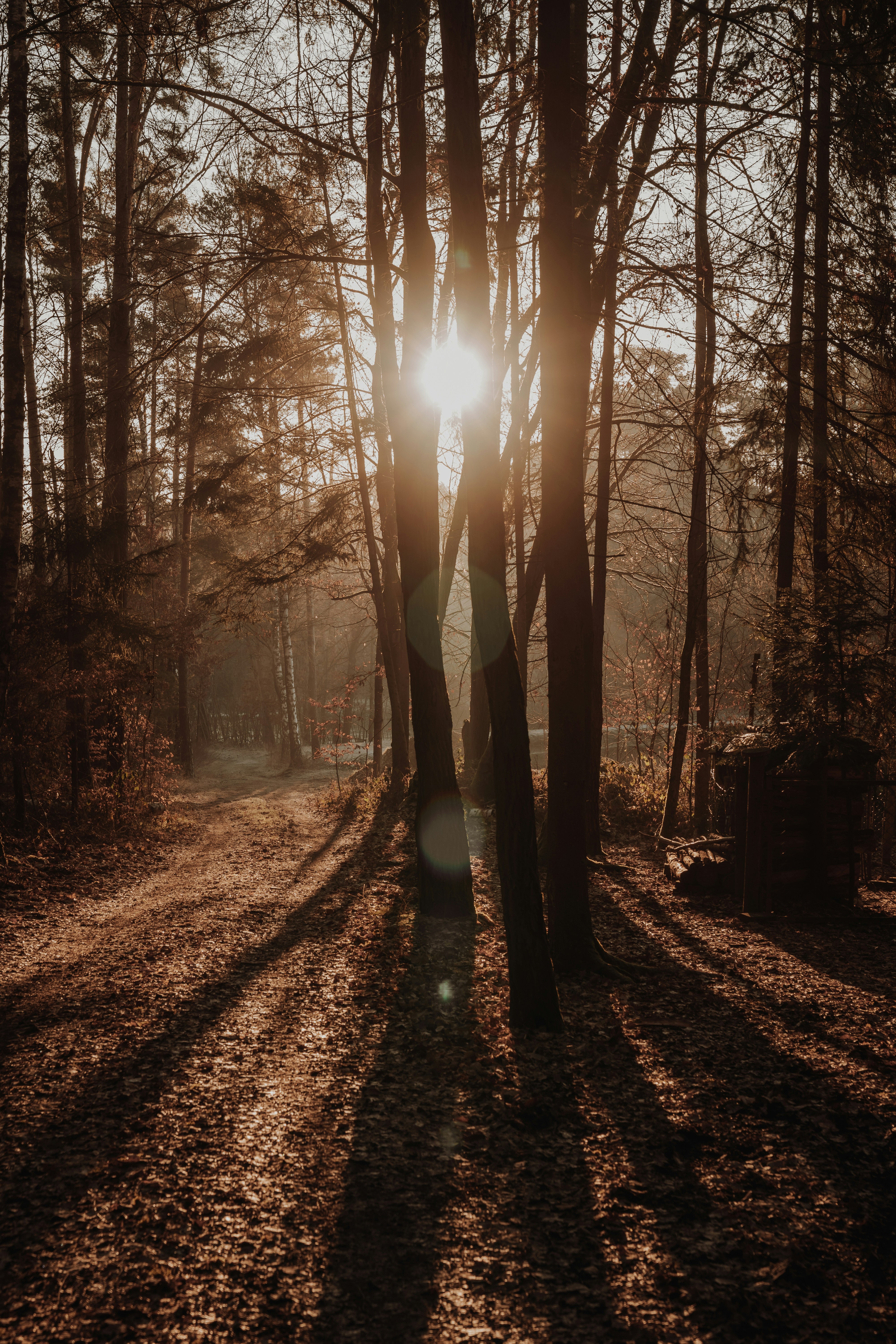 Photo by bangscreative