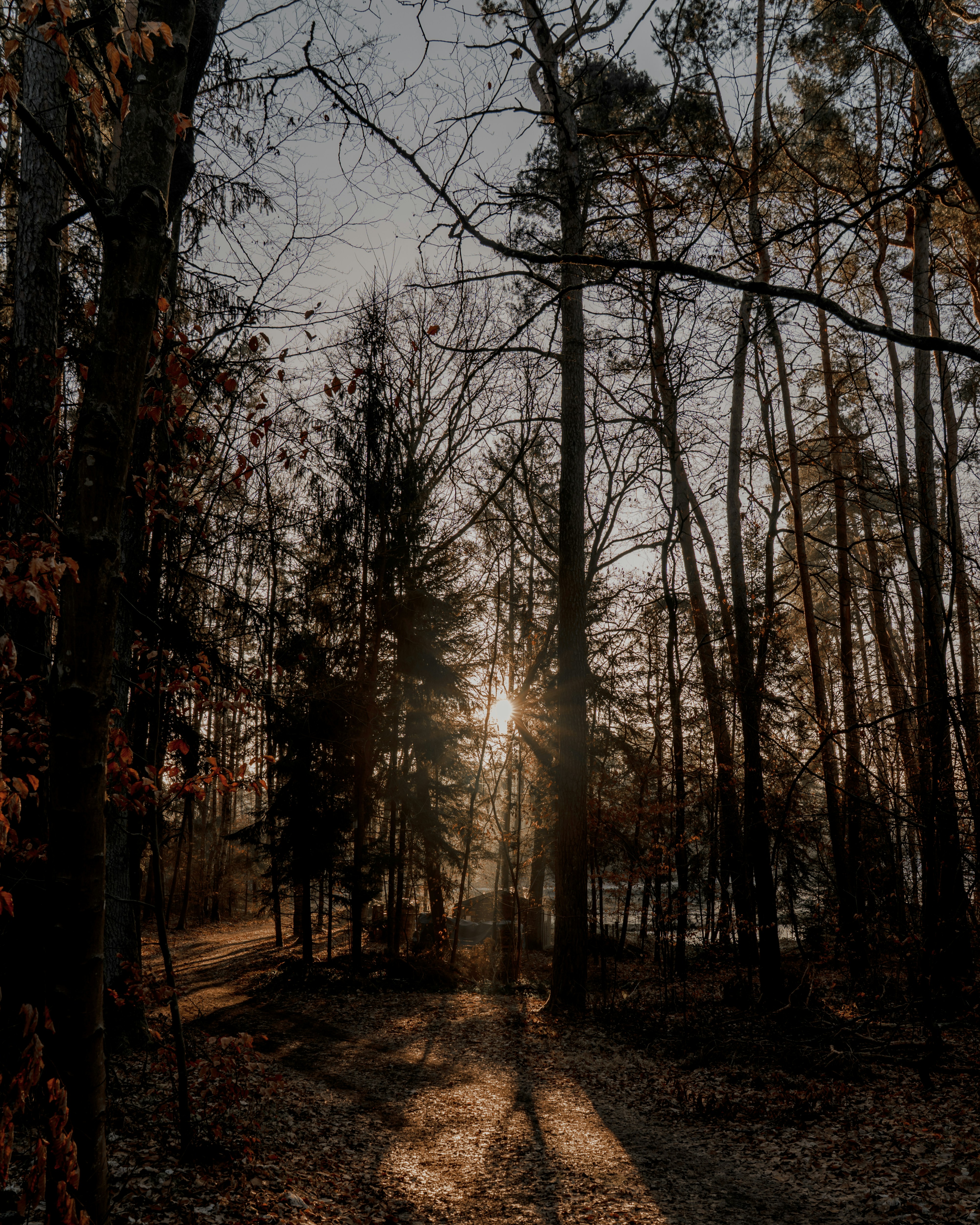 Photo by bangscreative