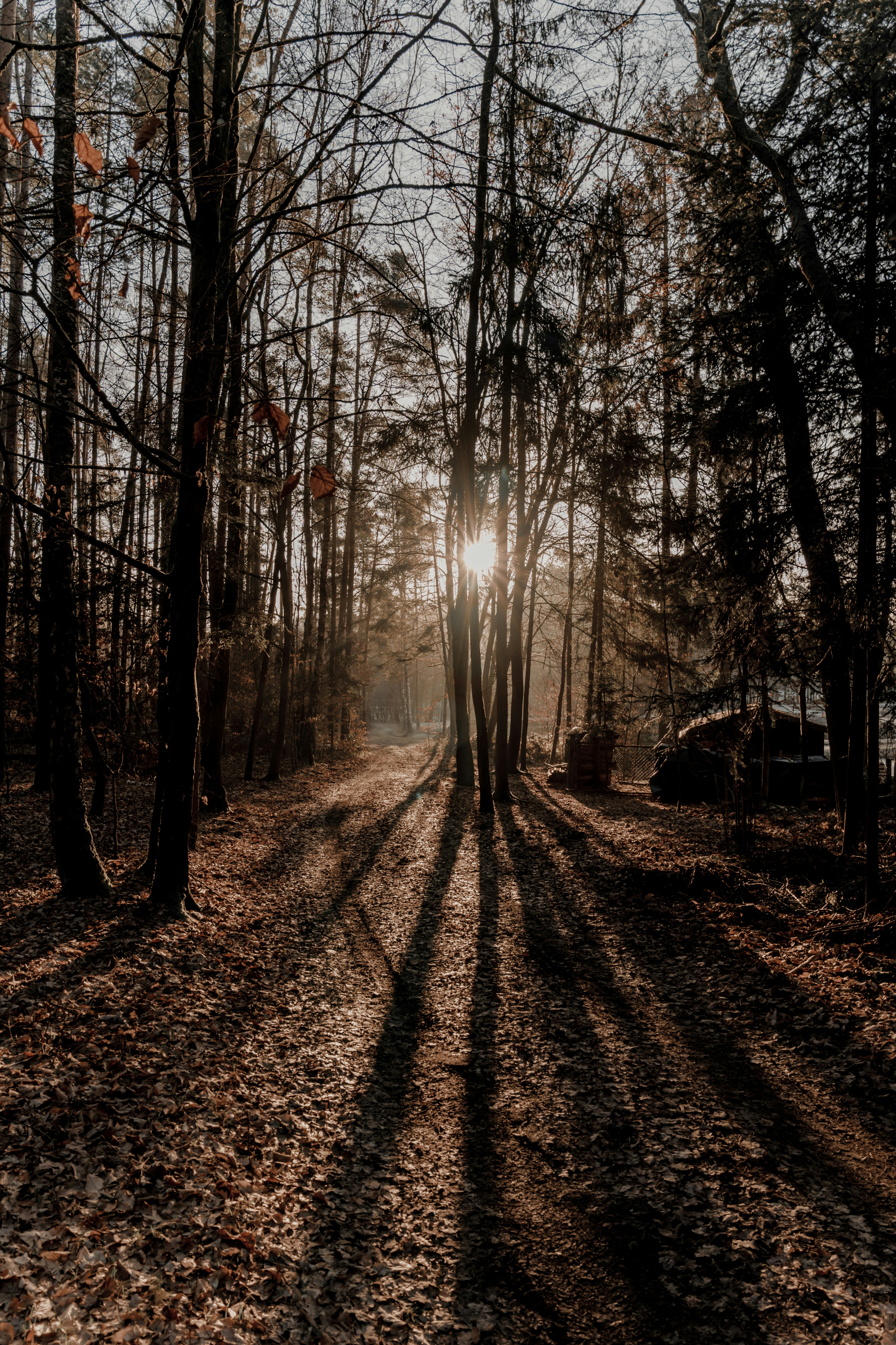 Photo by bangscreative