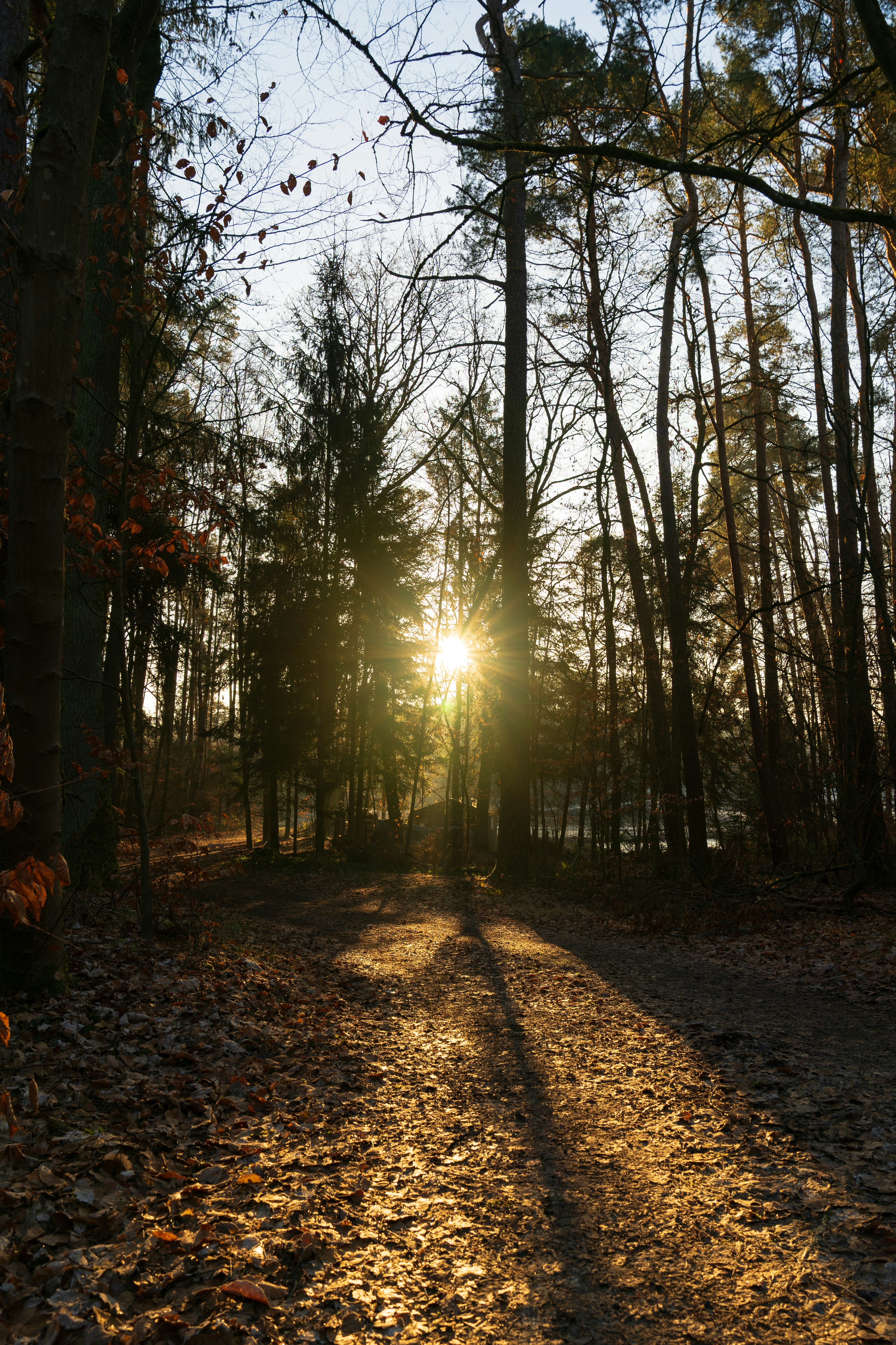 Photo by bangscreative