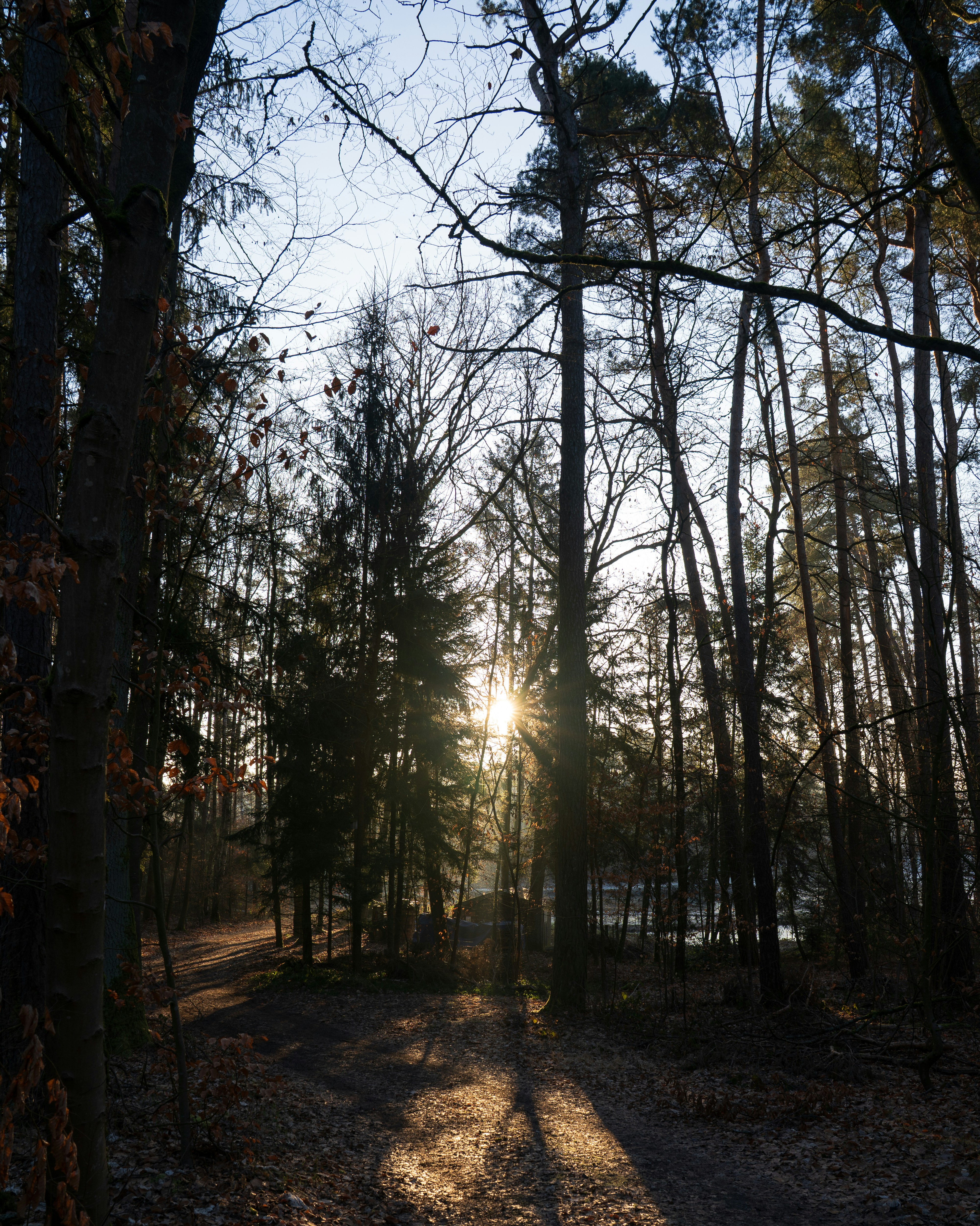 Photo by bangscreative