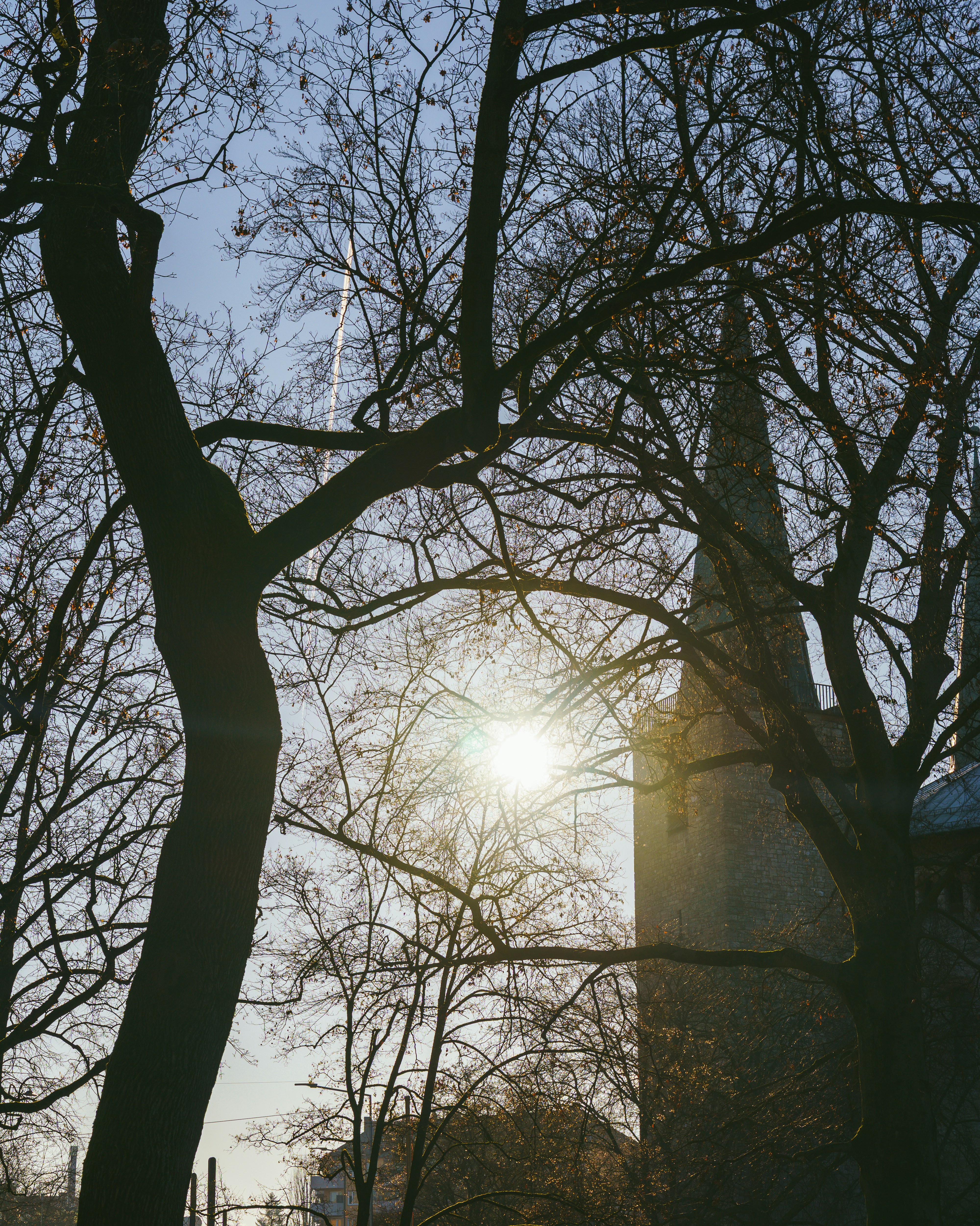 Photo by bangscreative