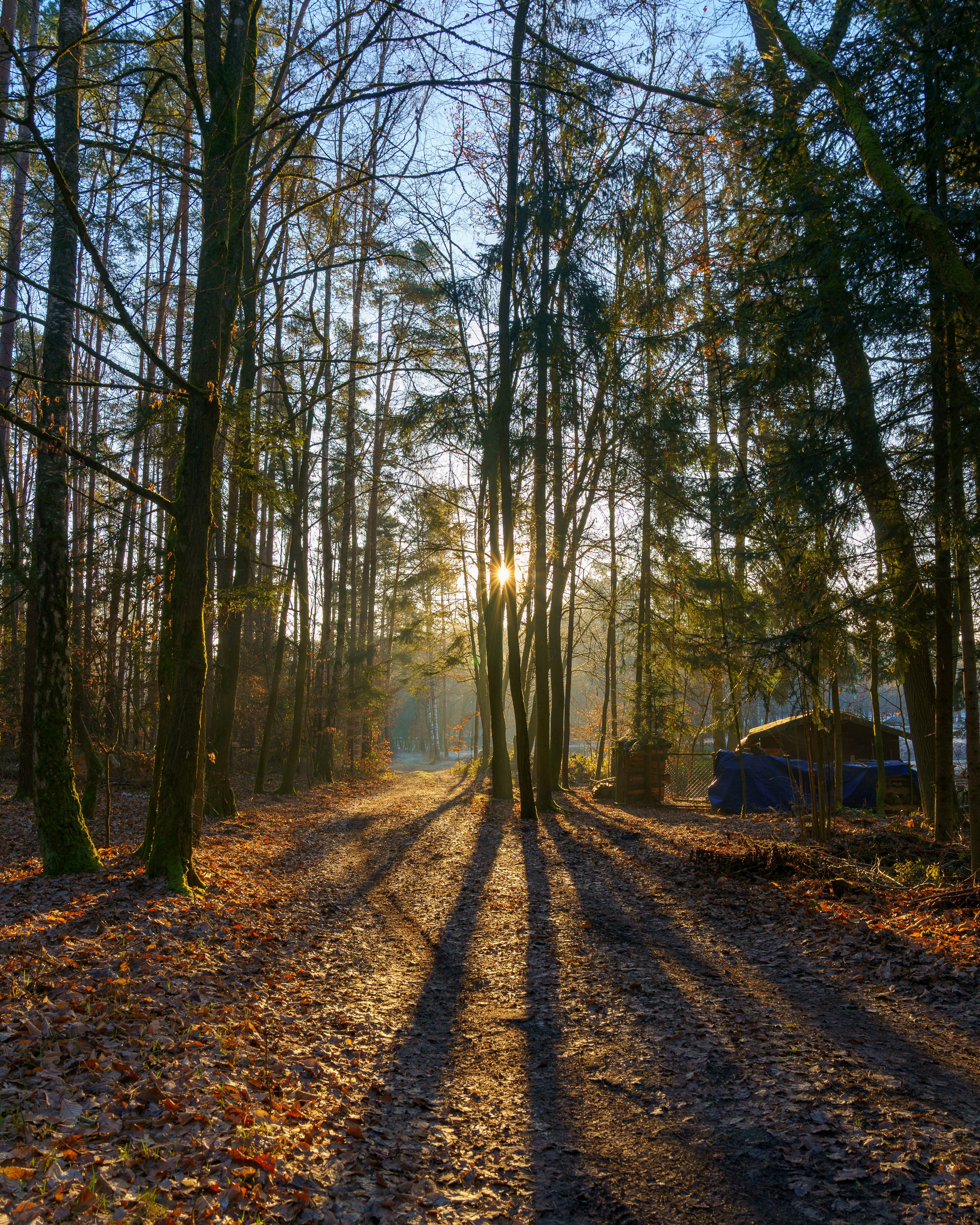 Photo by bangscreative