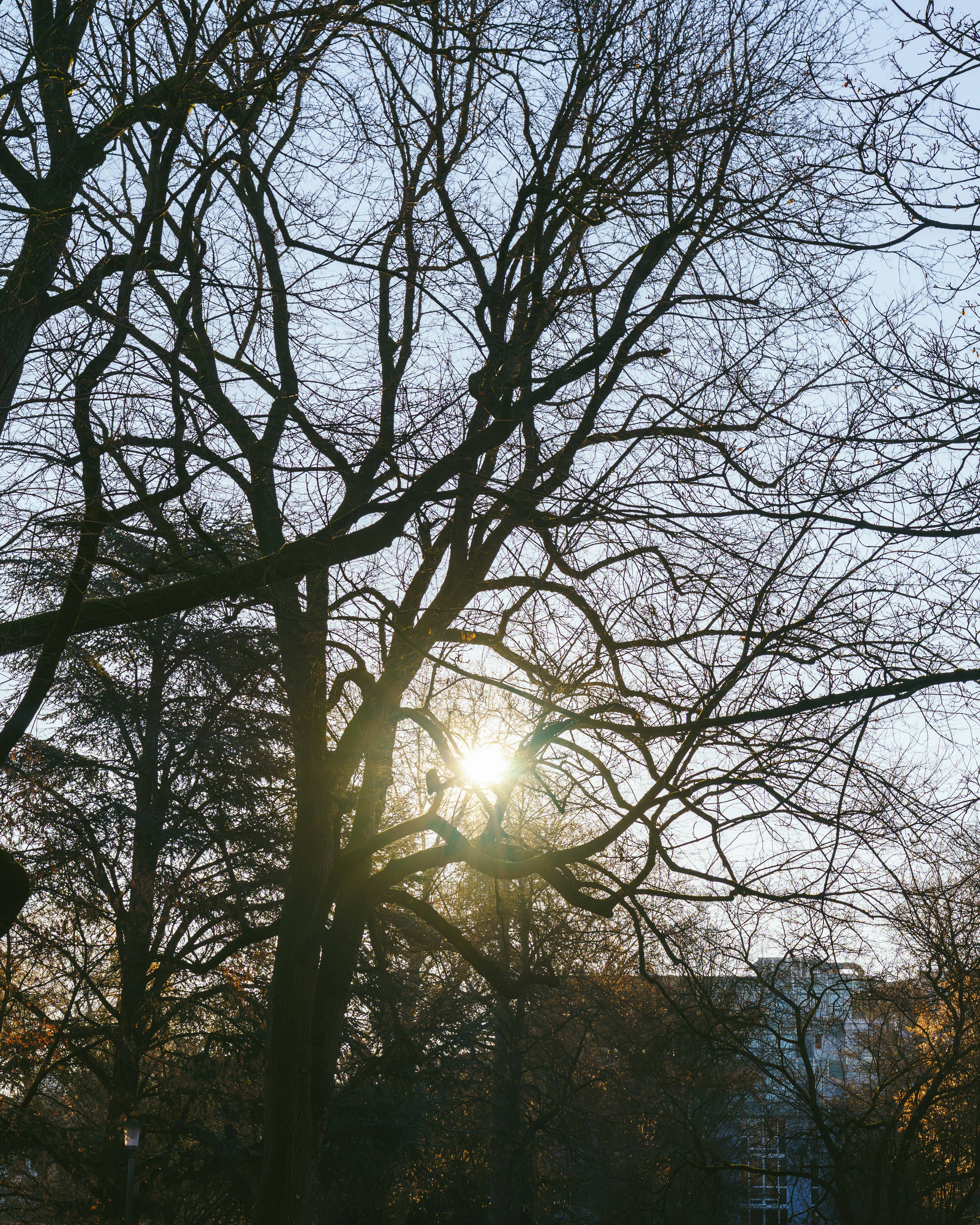 Photo by bangscreative